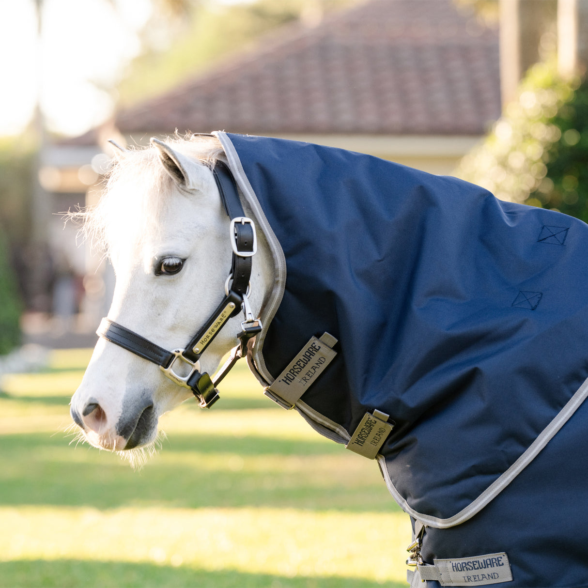 Amigo 1200D Plus Pony Turnout Blanket 0 g