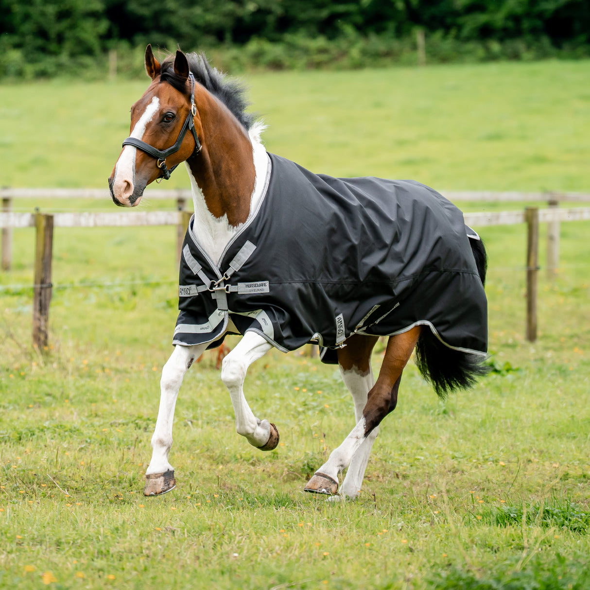 Amigo XL 1200D Turnout Blanket 150 g