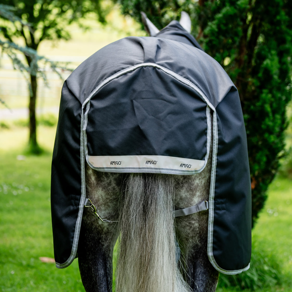 Amigo XL 1200D Turnout Blanket 250 g