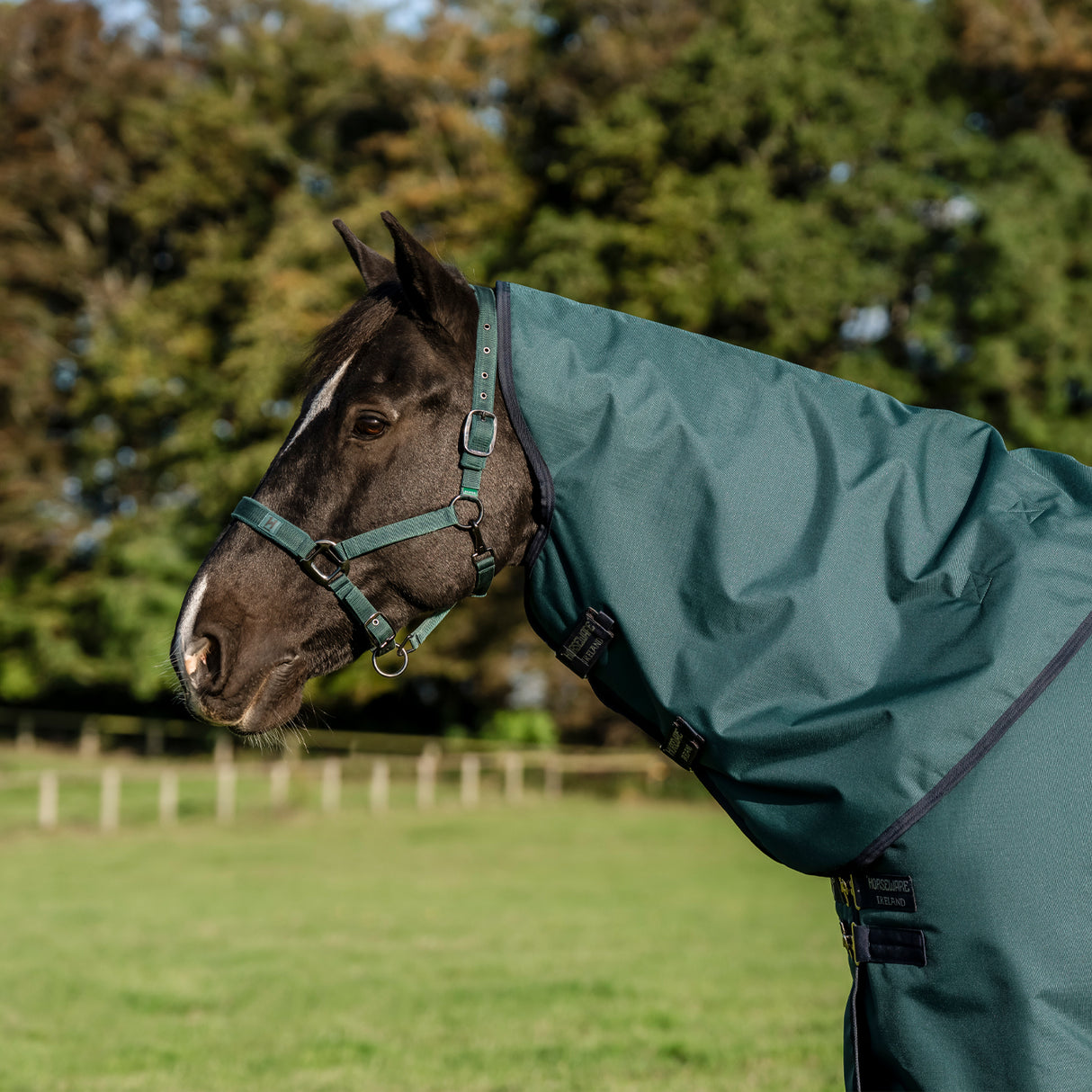 Amigo Ripstop 900D Plus Turnout Blanket 0 g