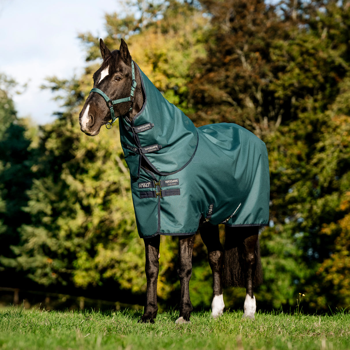 Amigo Ripstop 900D Plus Turnout Blanket 200 g