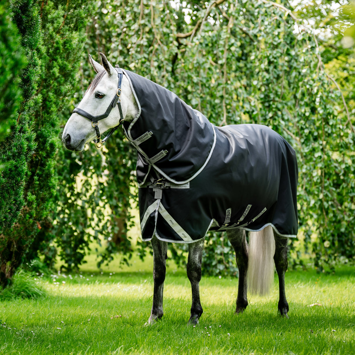 Amigo Plus 1200D Turnout Blanket 0 g