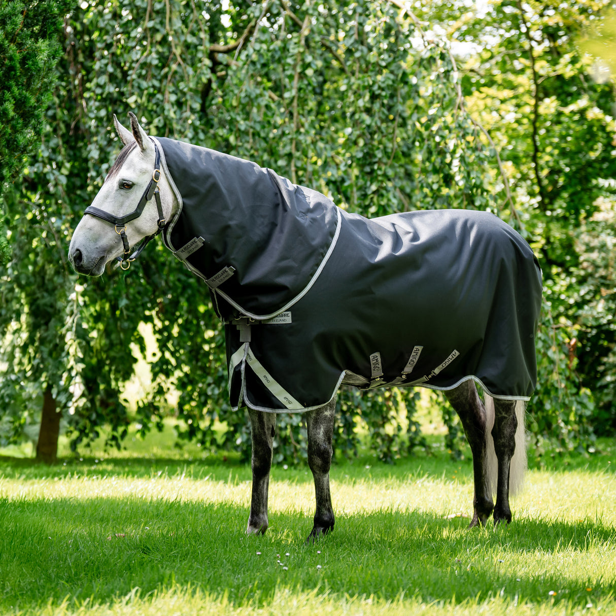 Amigo Plus 1200D Turnout Blanket 50 g