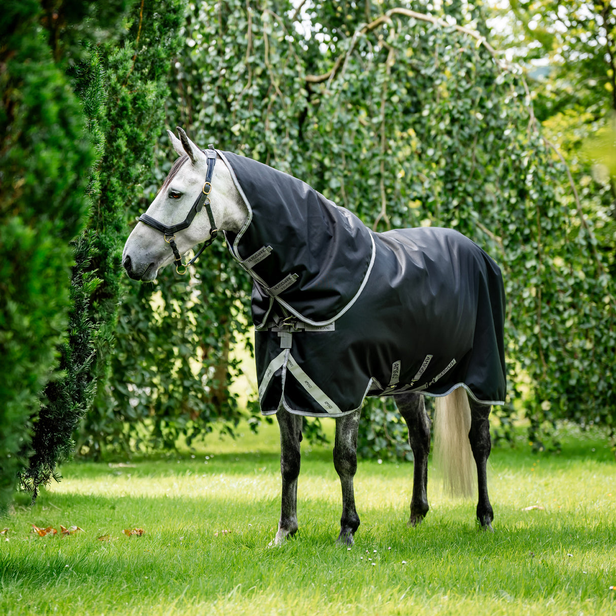 Amigo Plus 1200D Turnout Blanket 100 g