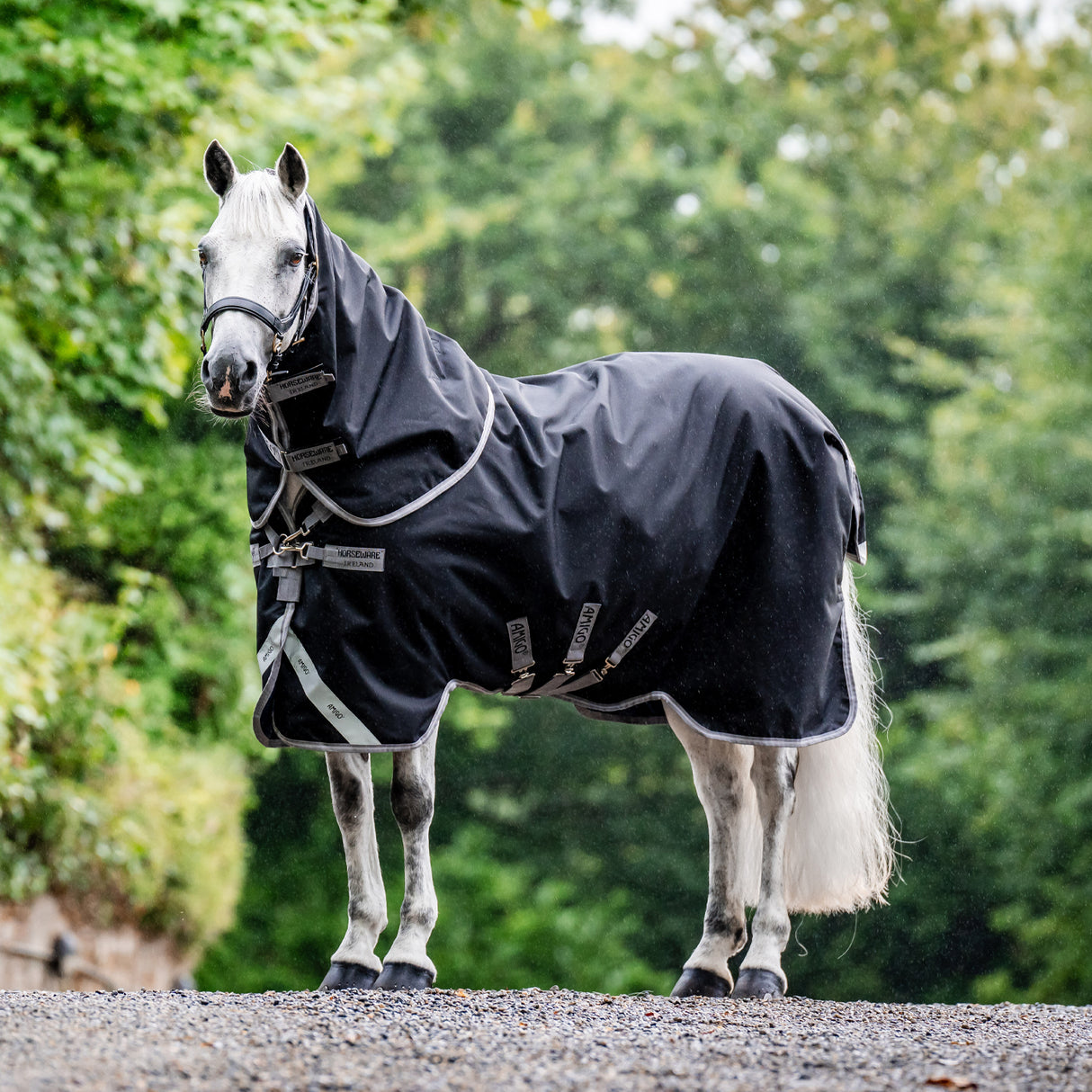 Amigo Plus 1200D Turnout Blanket 250 g