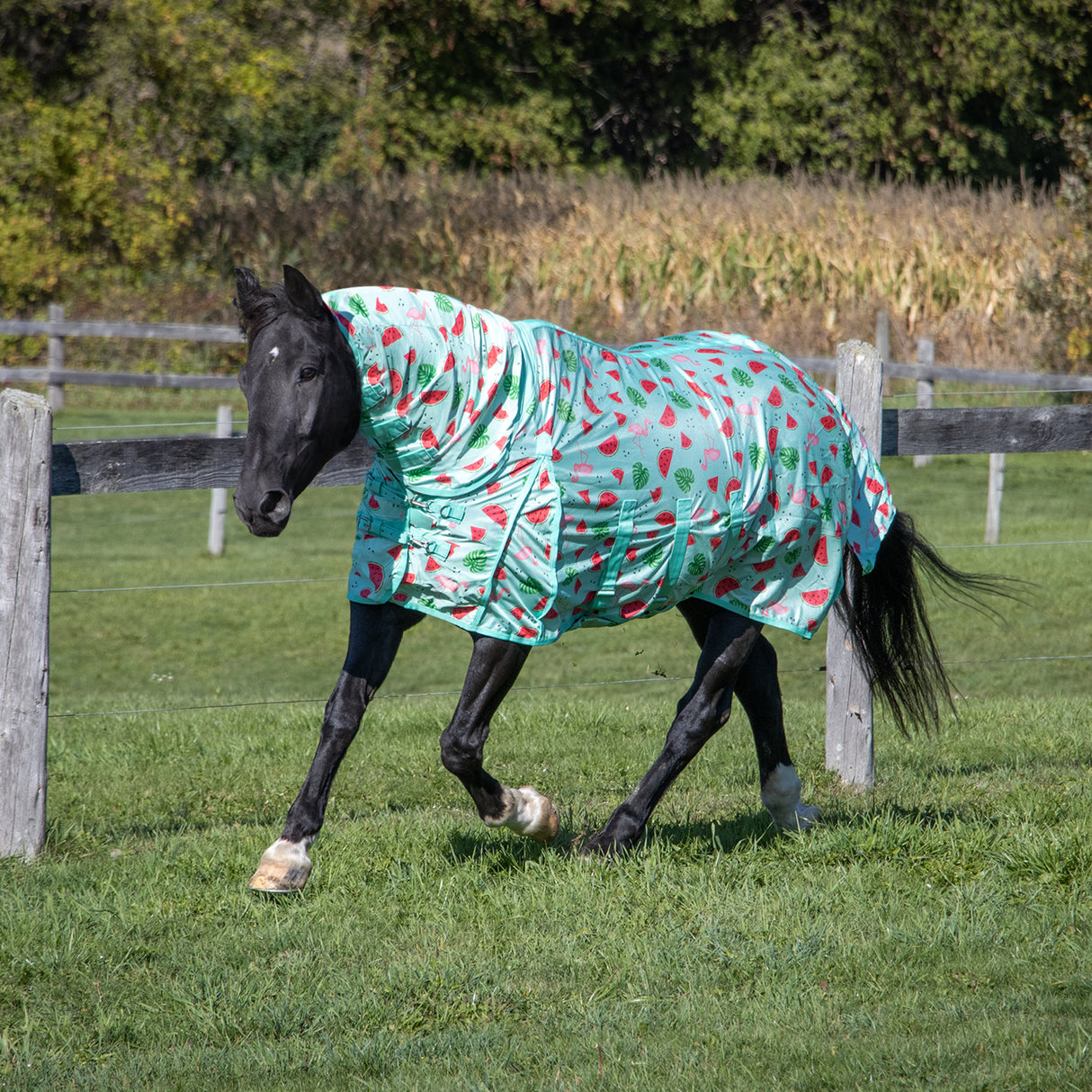 Shedrow Flamingo Breeze Extend-A-Neck Fly Sheet