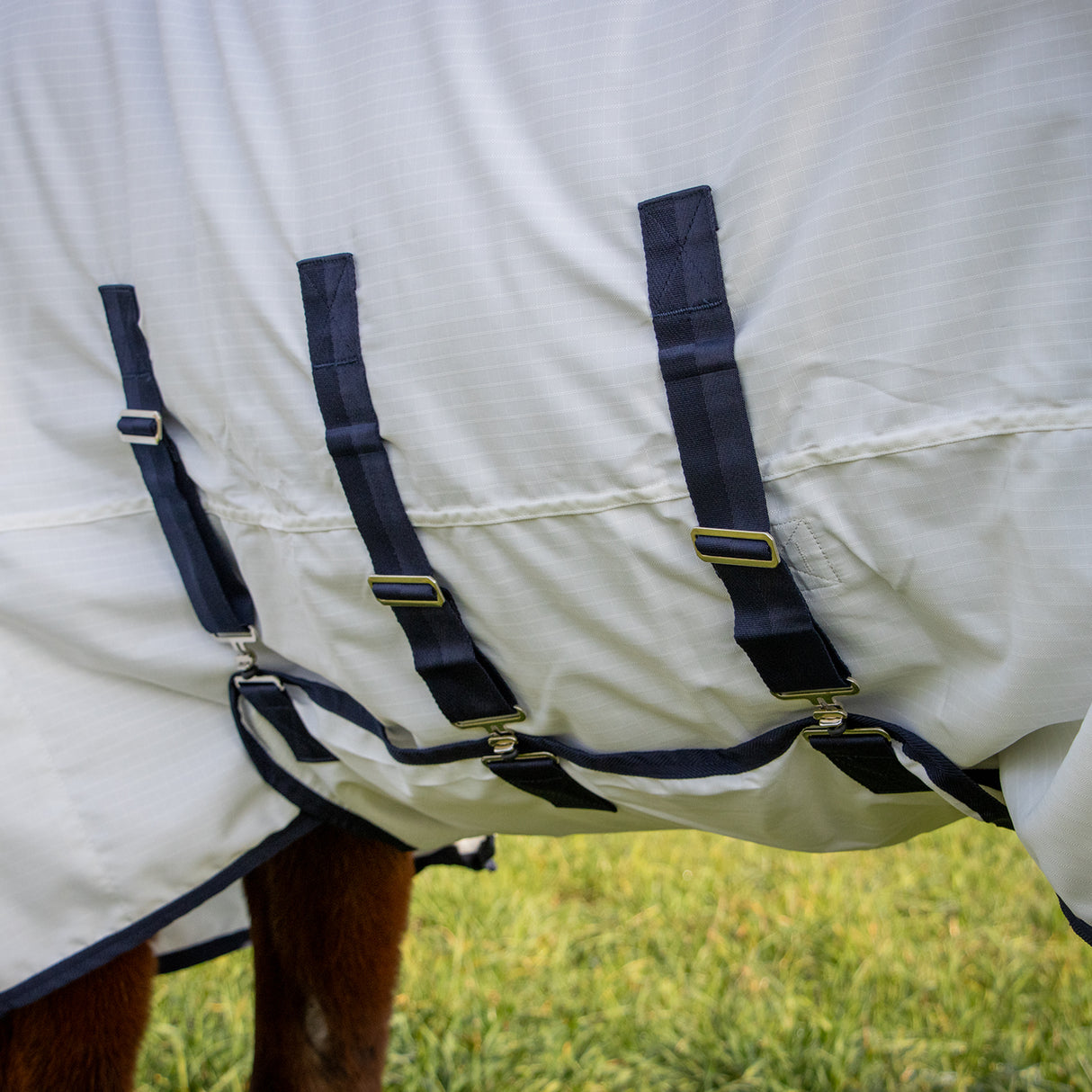 Shedrow Sweet Itch Sheet