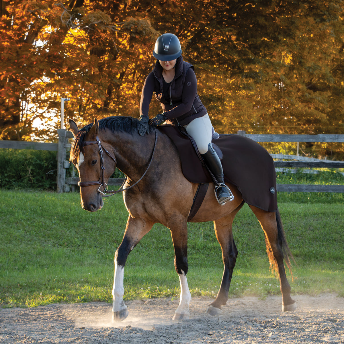 Shedrow Softshell Exercise Sheet