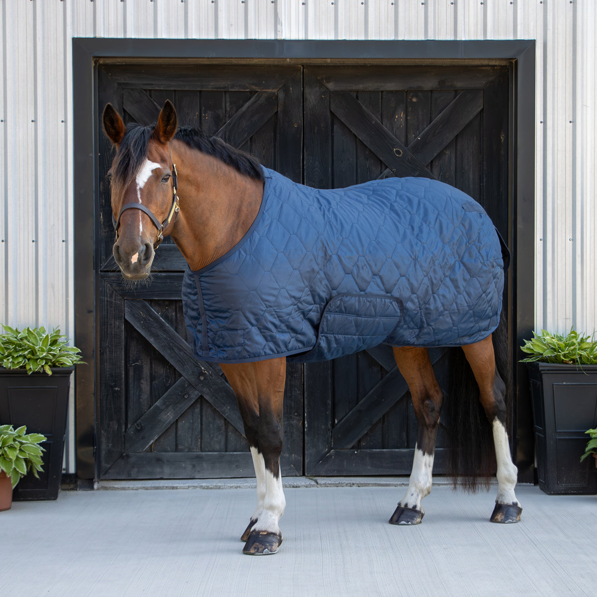 Shedrow Pagoda Quilted Stable Blanket 100 g