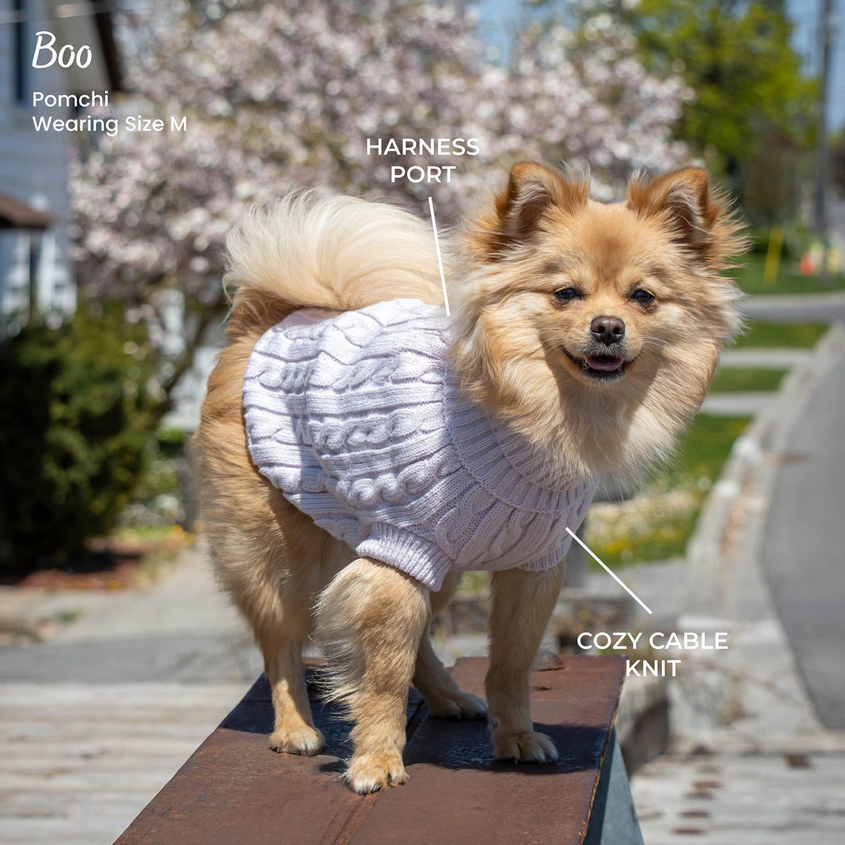 Shedrow K9 Brentwood Cable Knit Dog Sweater