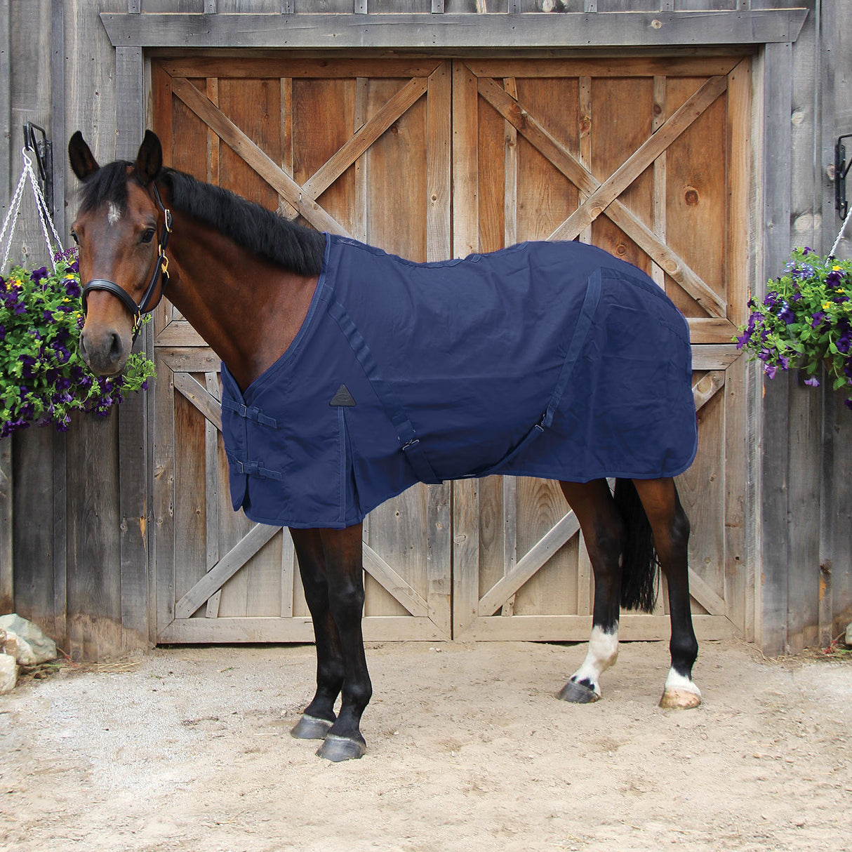 Shedrow Stable Sheet