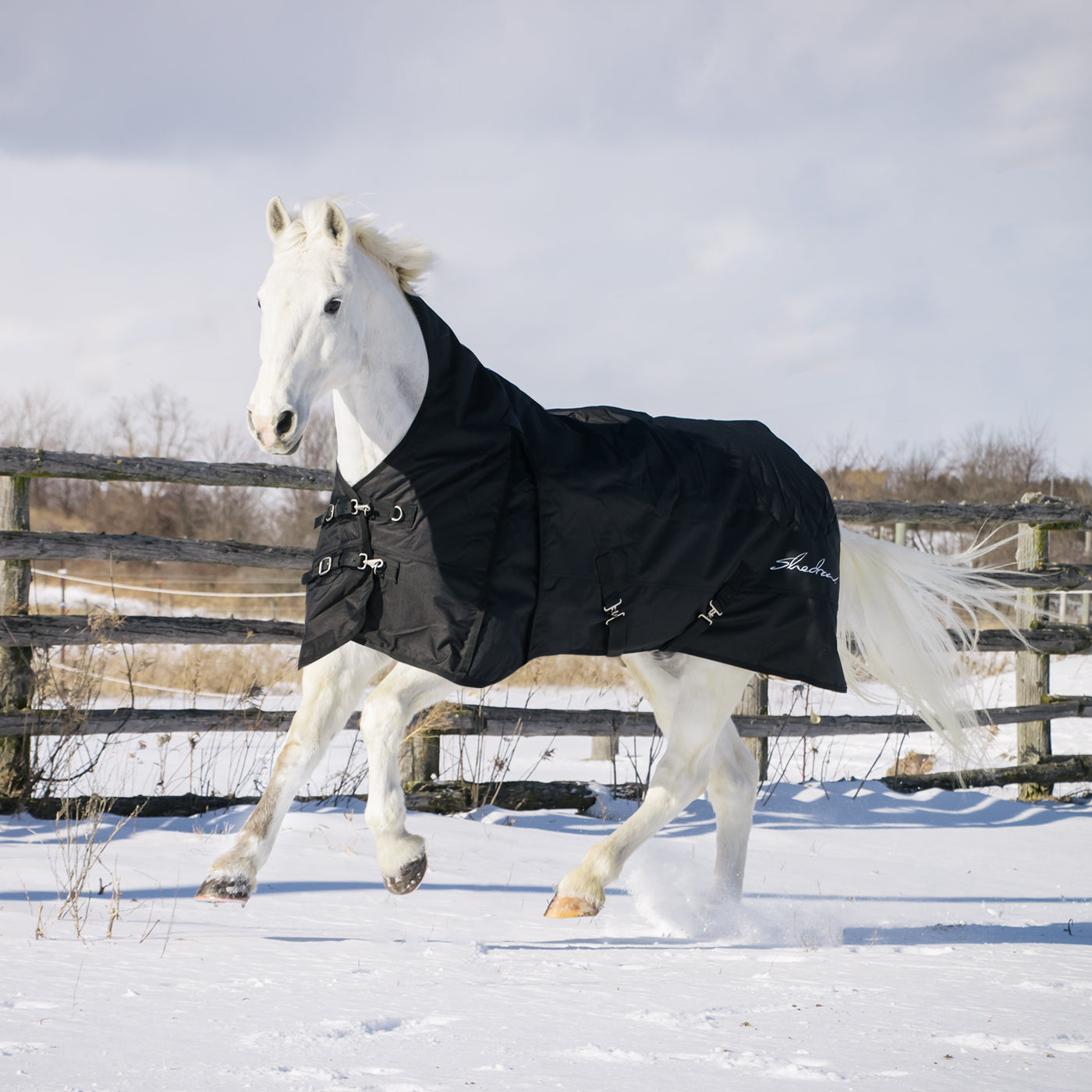 Shedrow Comfort Neck Turnout Blanket 300 g