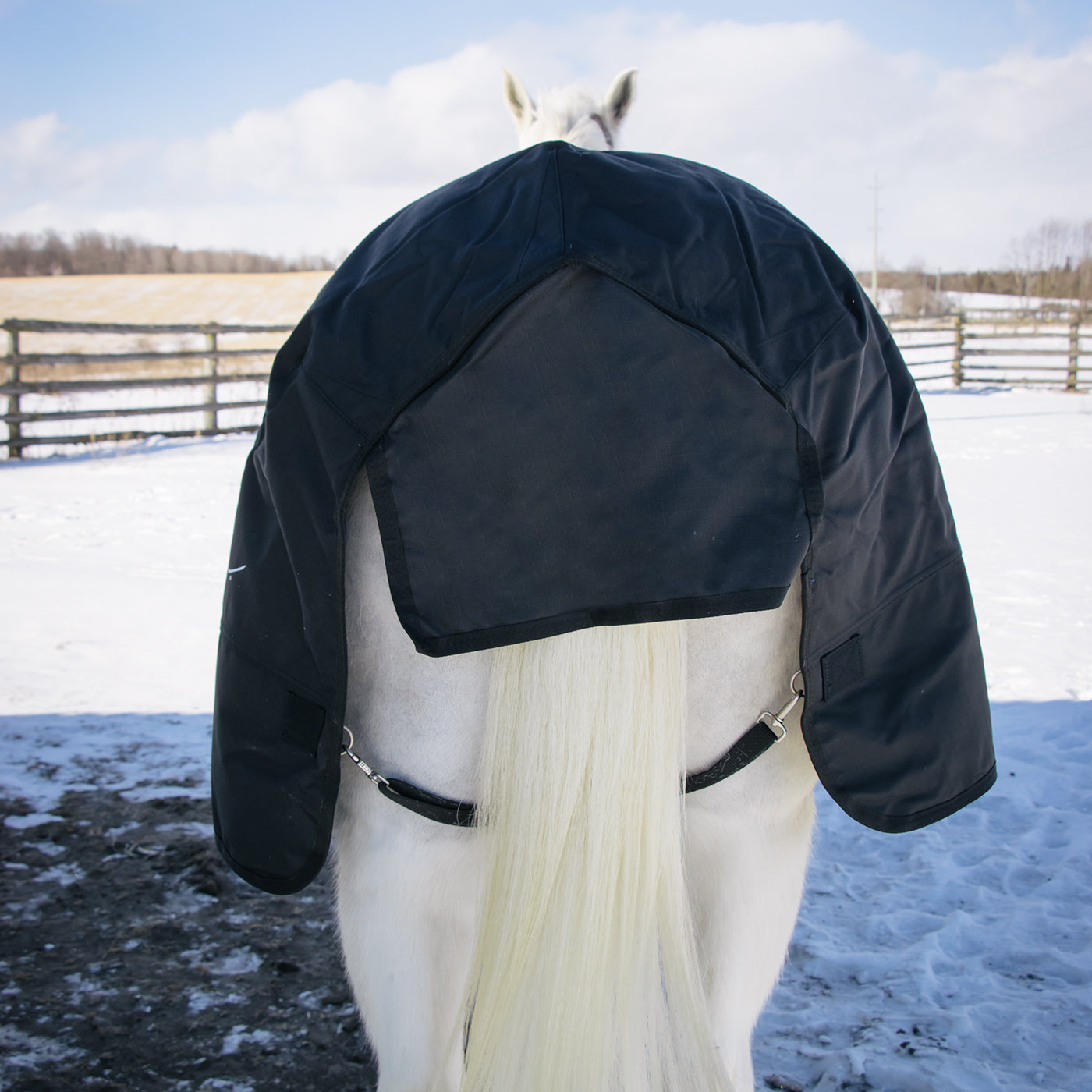 Shedrow Comfort Neck Turnout Blanket 300 g