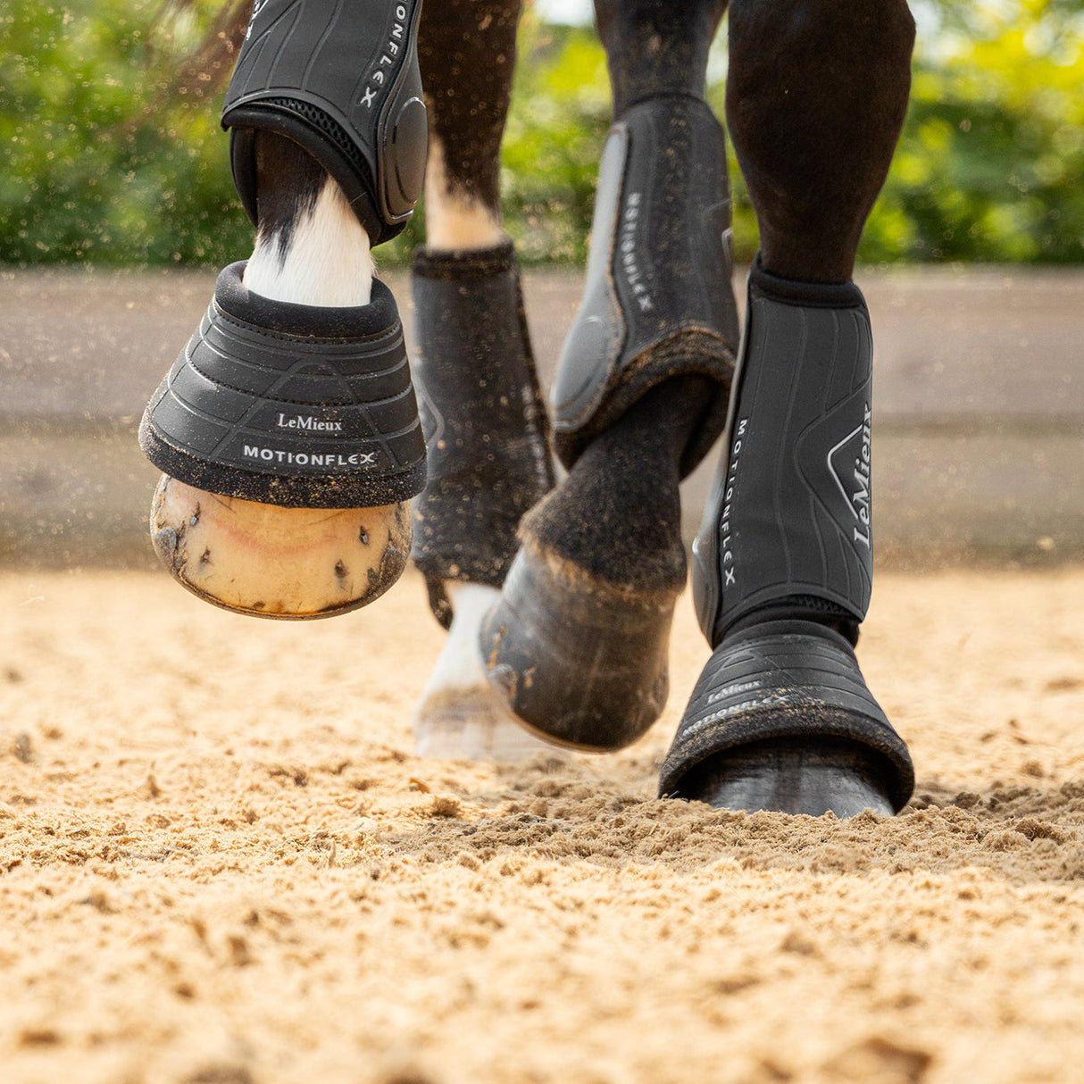 LeMieux Motionflex Over Reach Boots