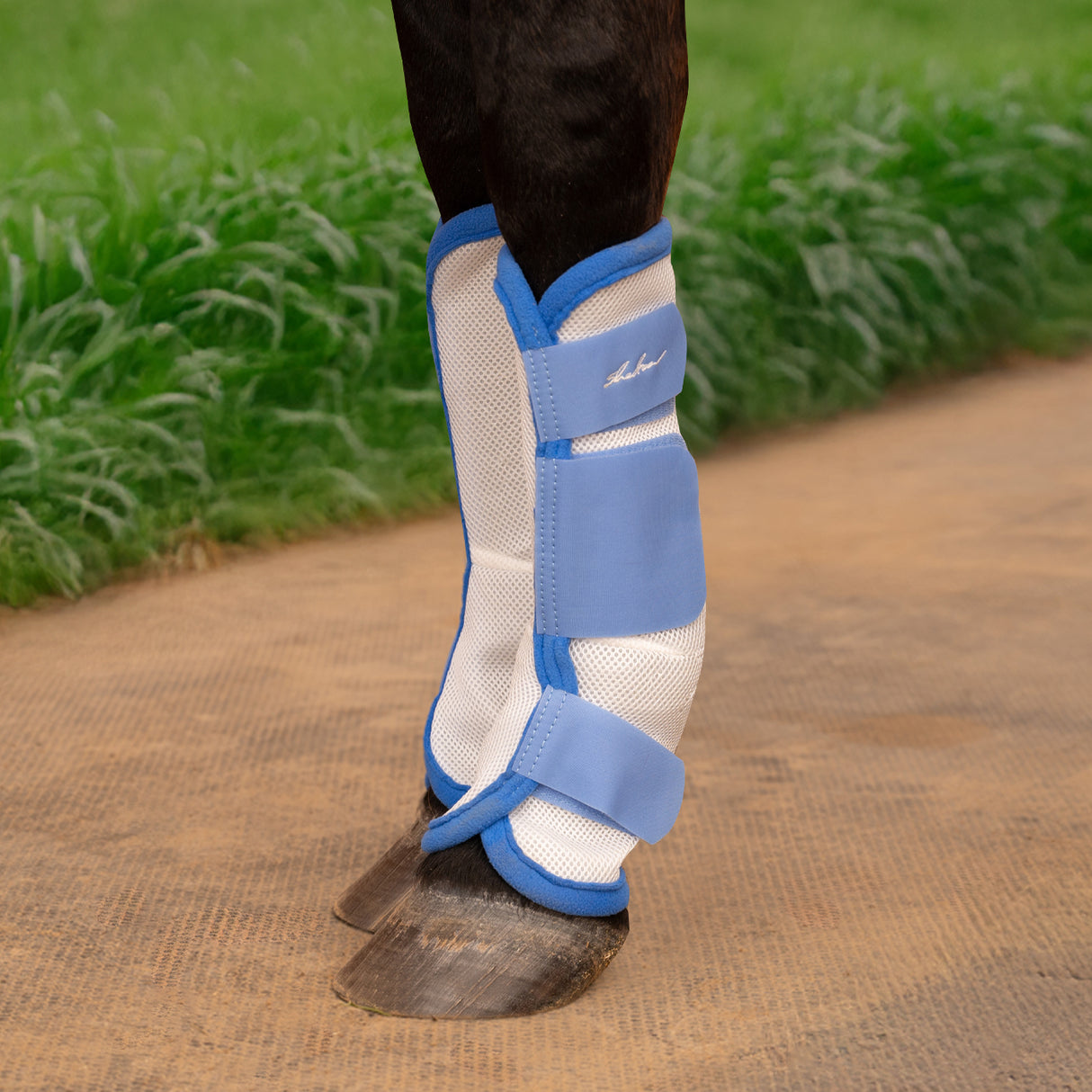 Shedrow Fly Boots