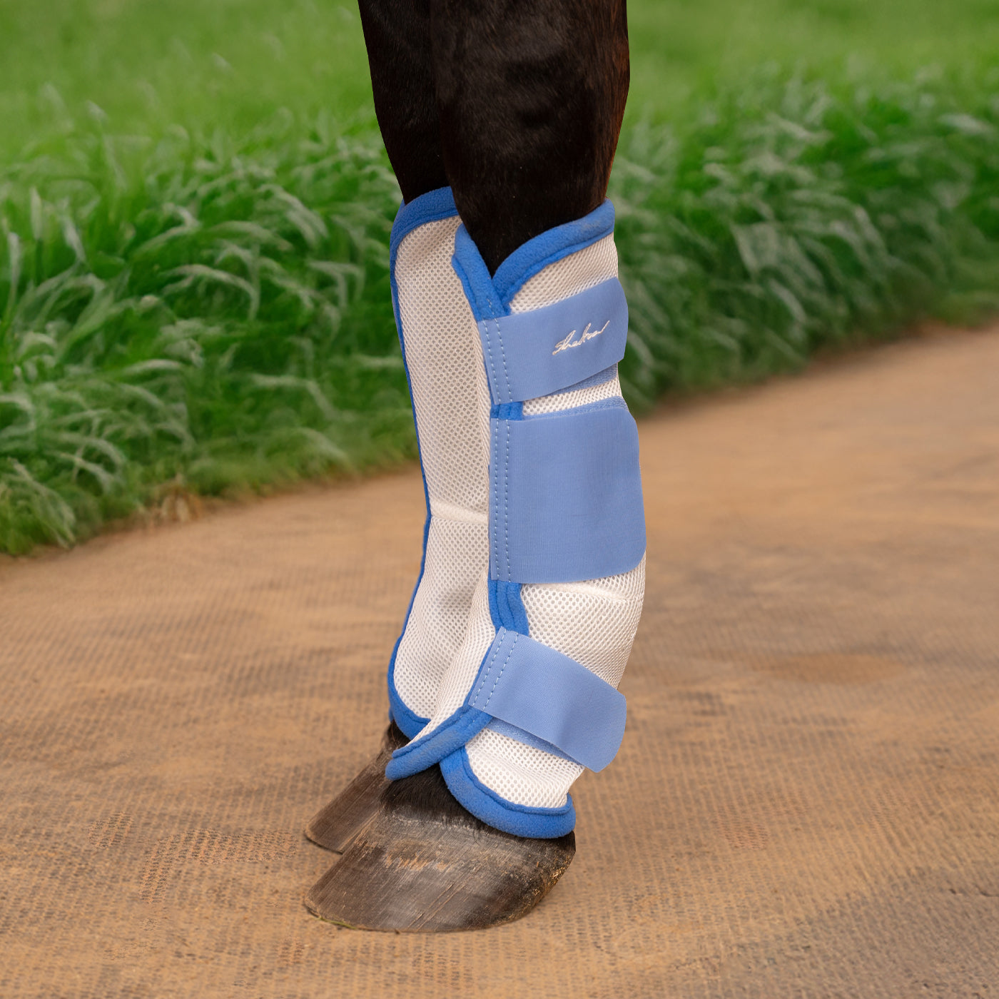 Shedrow Fly Boots