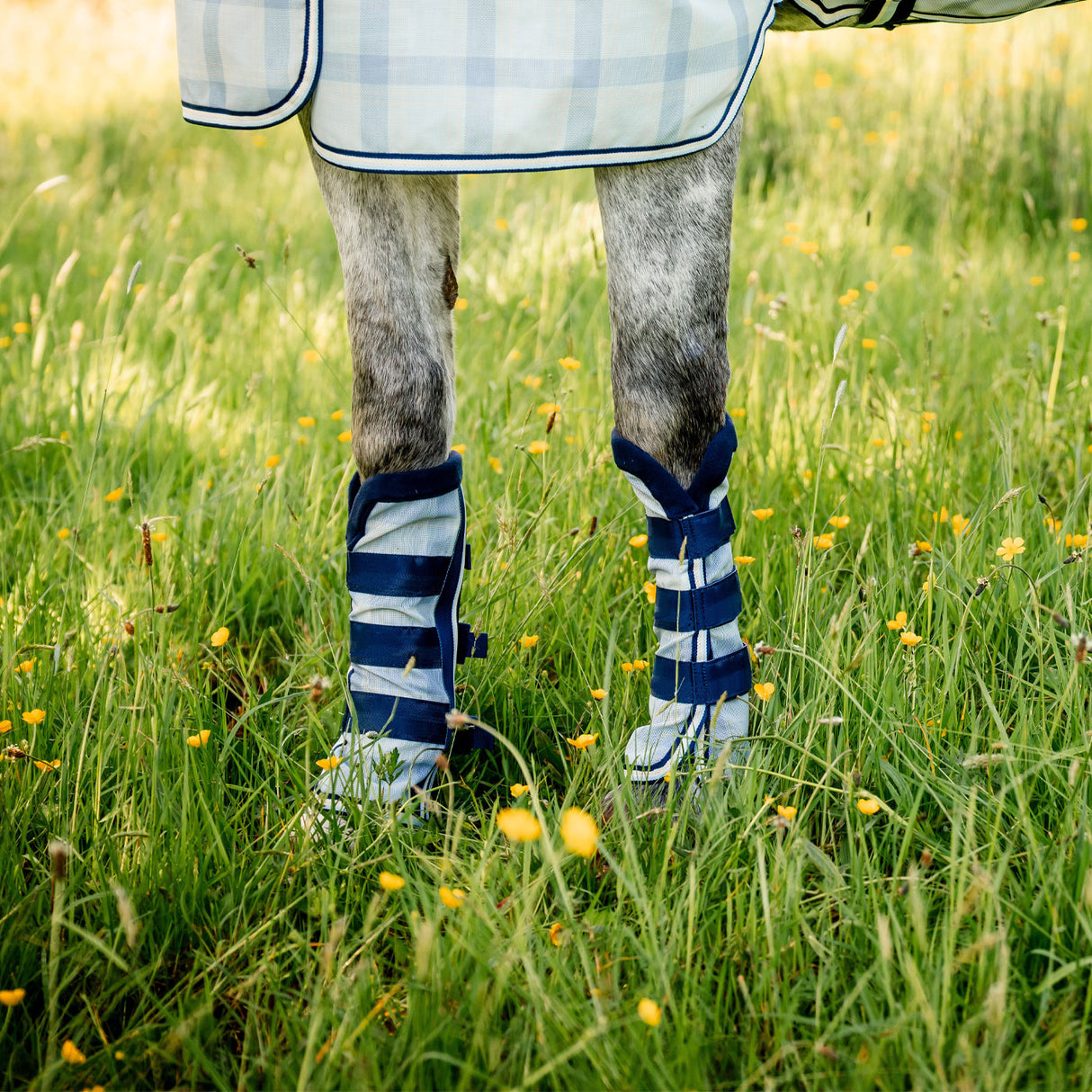 Horseware Newmarket Fly Boots