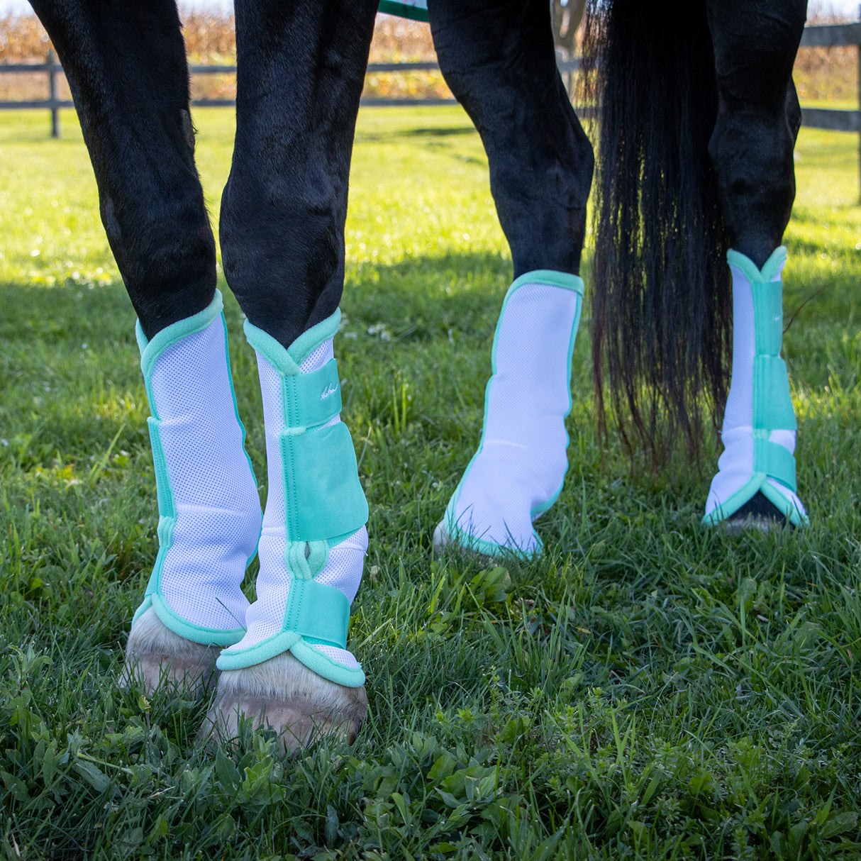 Shedrow Flamingo Breeze Fly Boots