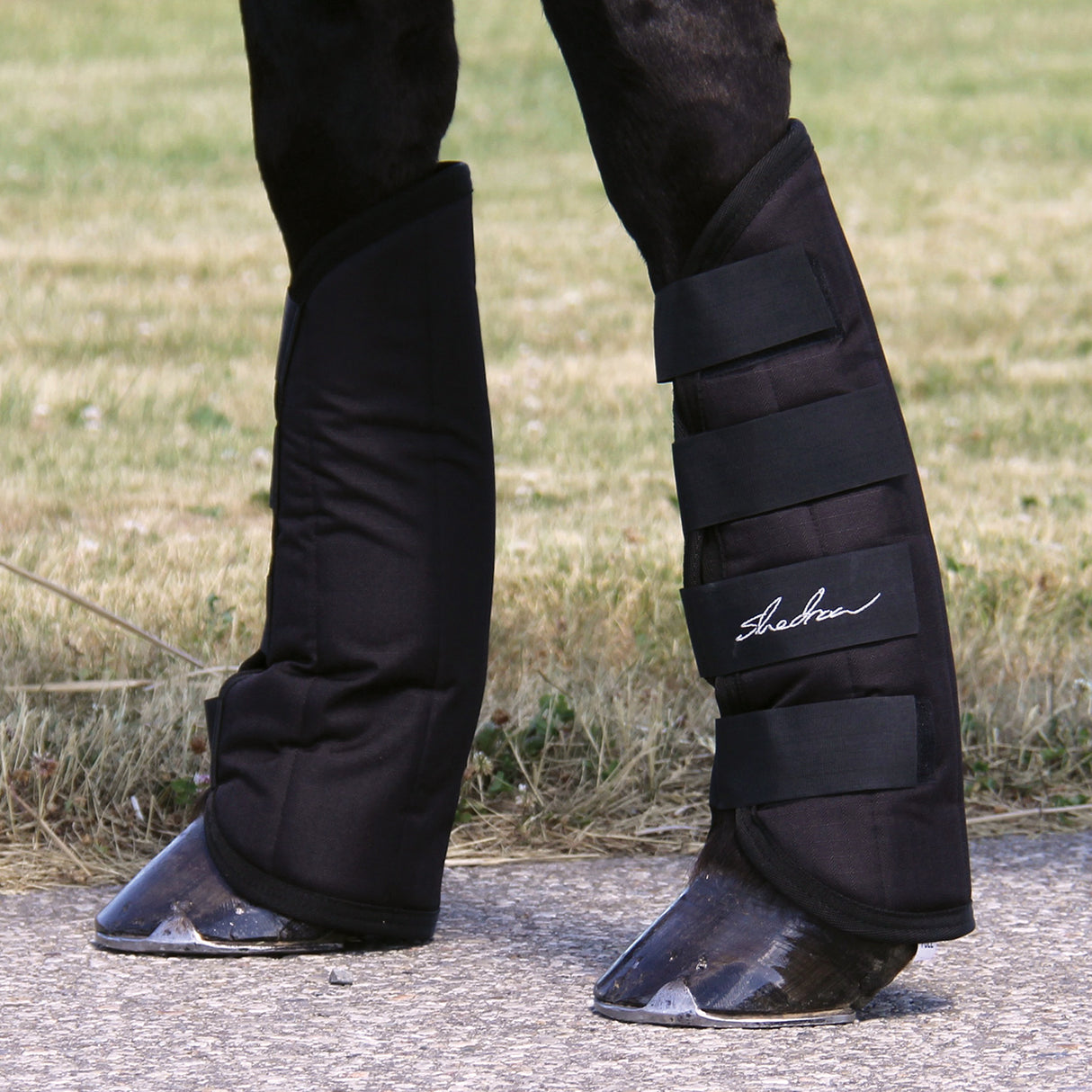 Shedrow Shipping Boots