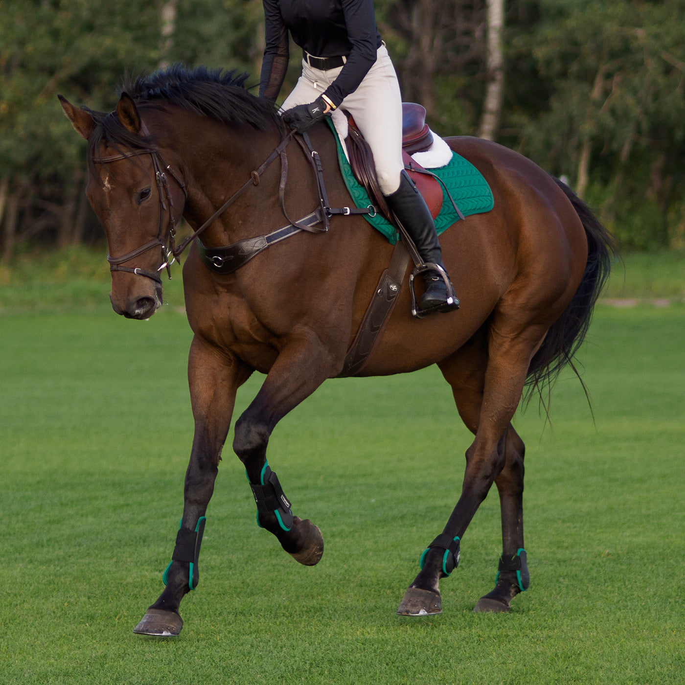 Shedrow Open Front Boots W/ Colored Lining