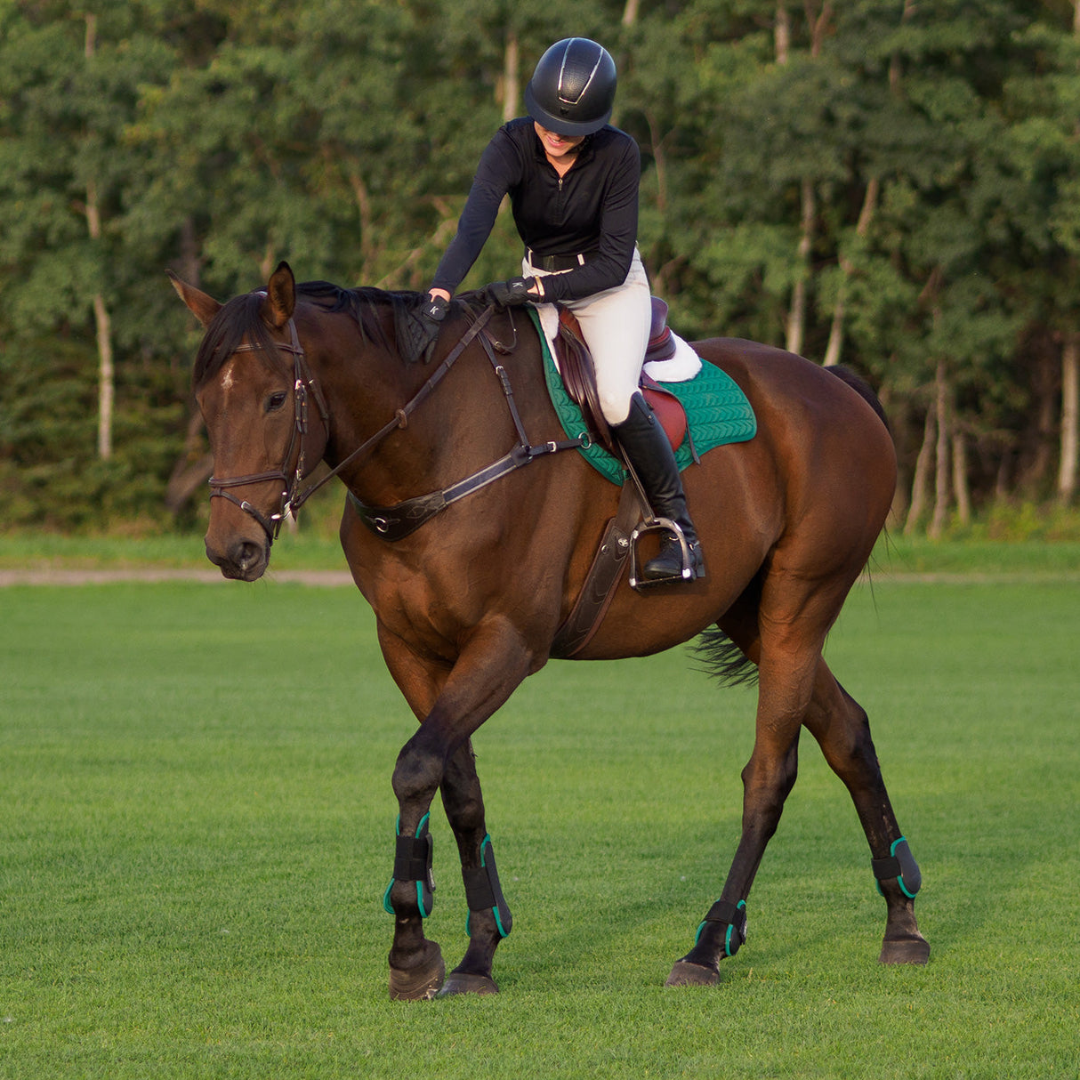 Shedrow Fetlock Boots W/ Colored Lining