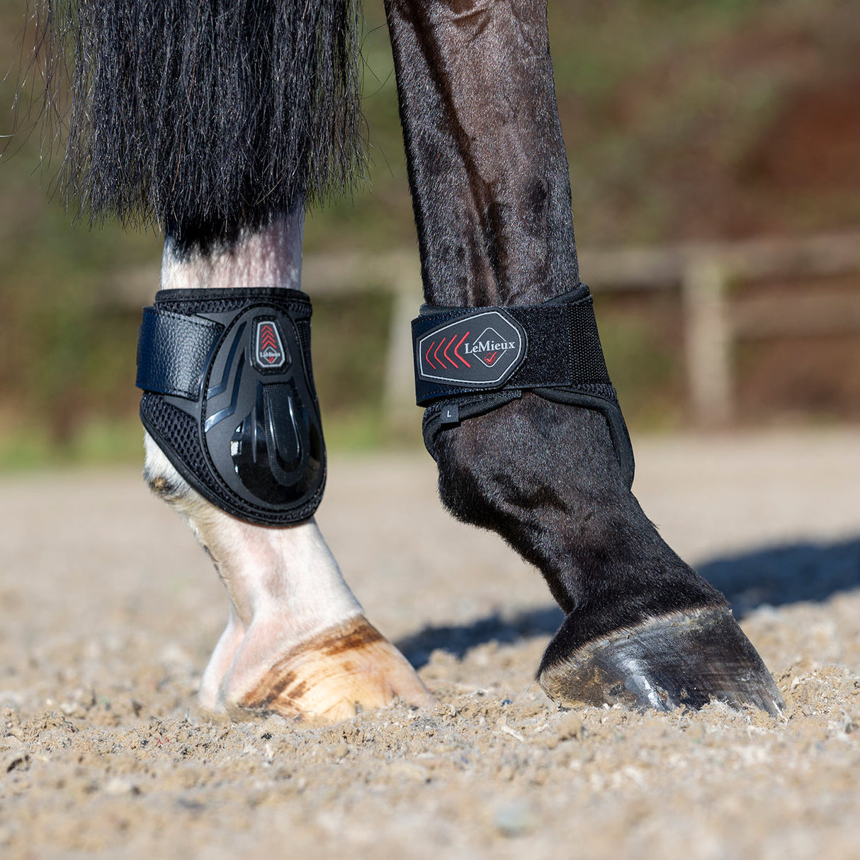 LeMieux Derby Projump Fetlock Boots
