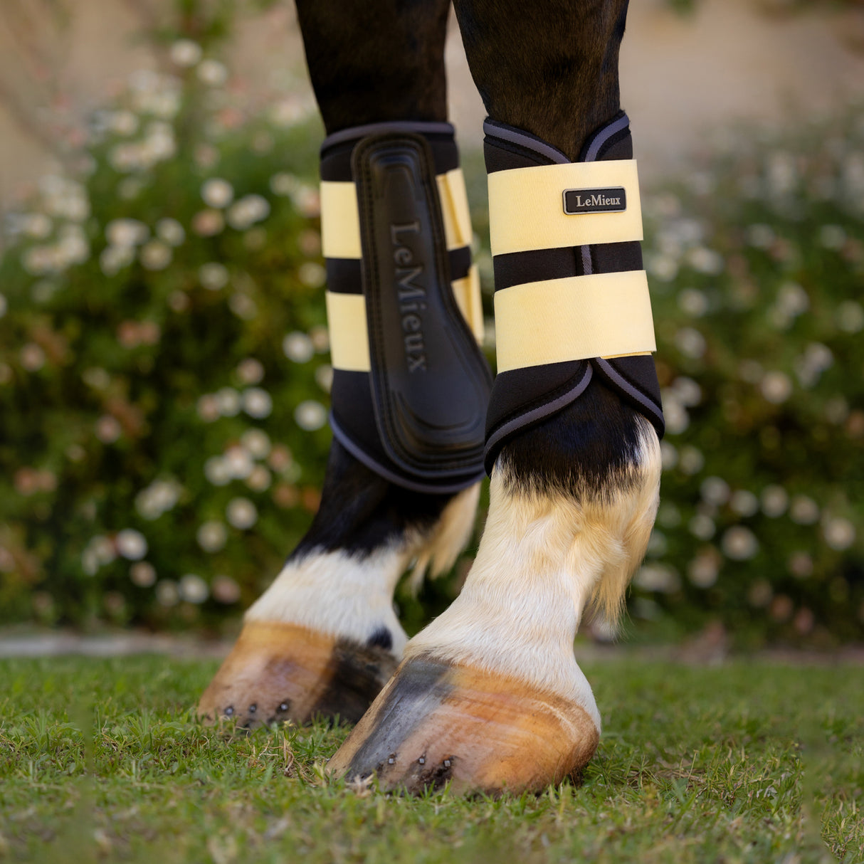 LeMieux Brushing Boots