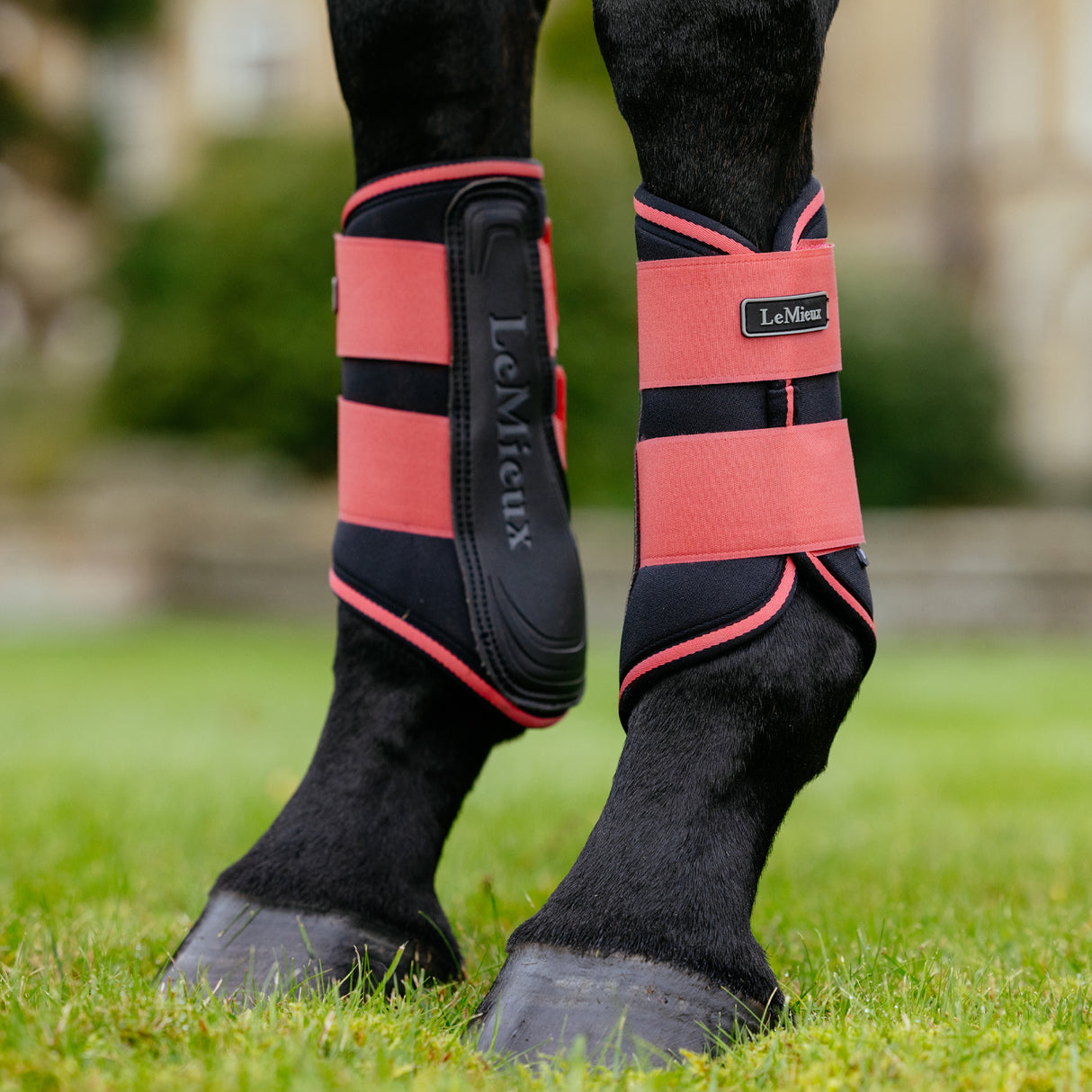 LeMieux Grafter Brushing Boots