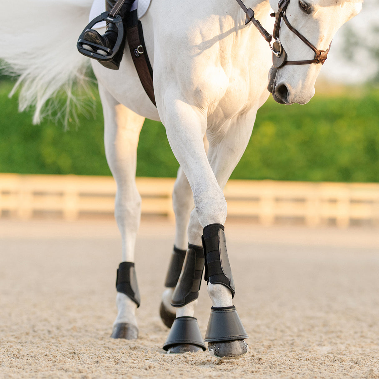 EquiFit Essential EveryDay Value Set - Front & Hind Boots