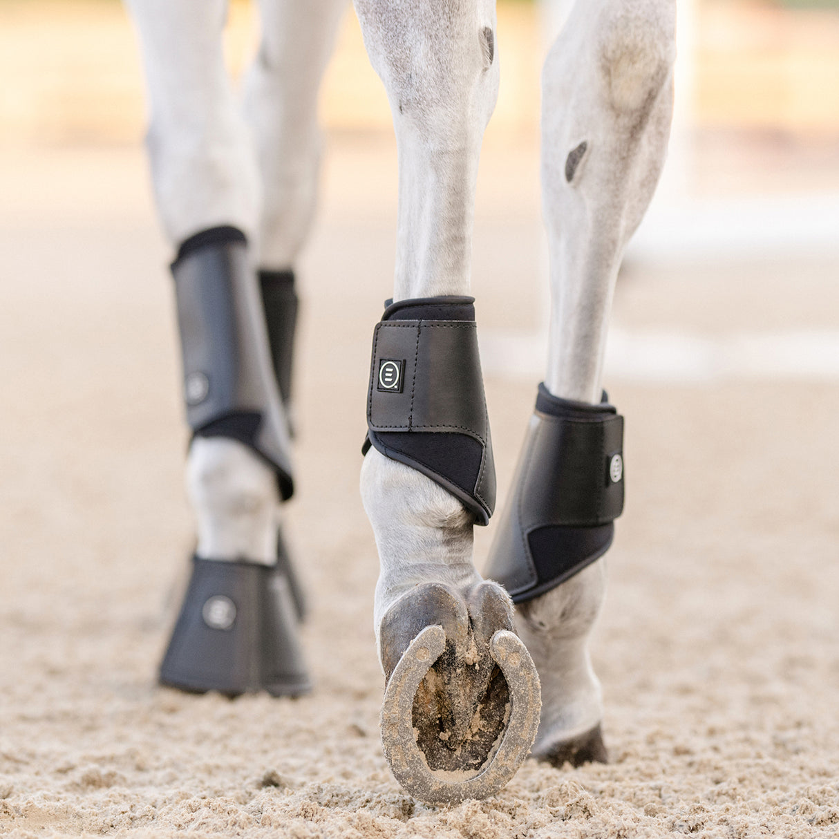 EquiFit Essential EveryDay Value Set - Front & Hind Boots