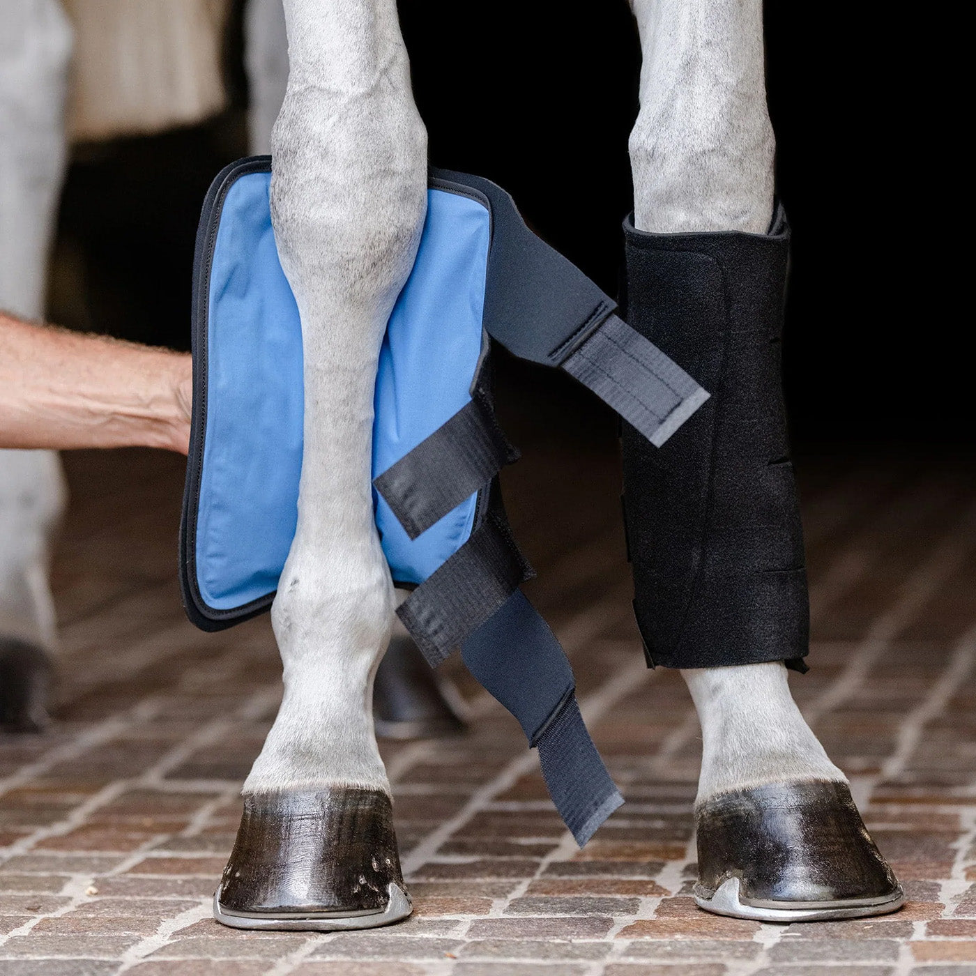 EquiFit Essential Cold Therapy Tendon Boots