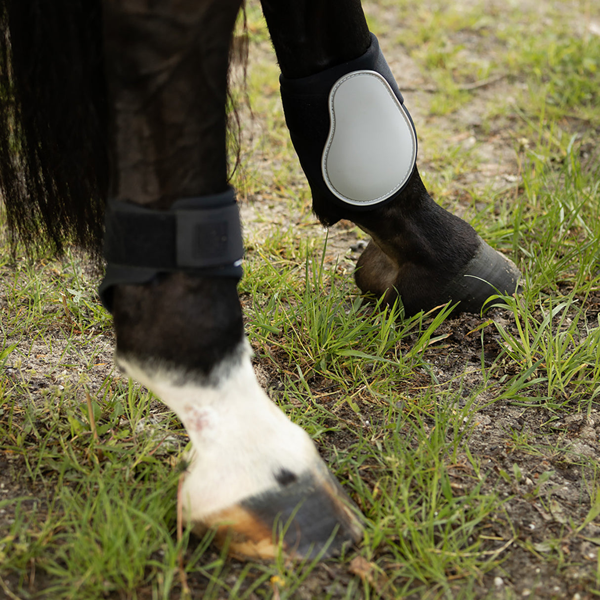 BR Igmar Fetlock Boots