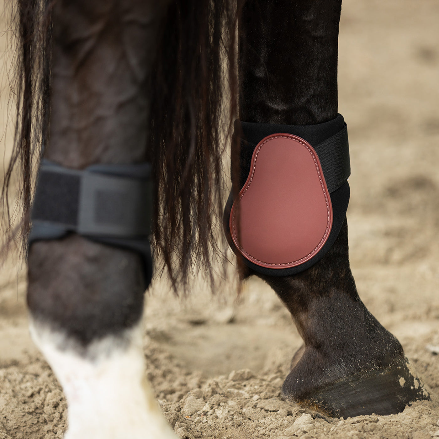 BR Igmar Fetlock Boots