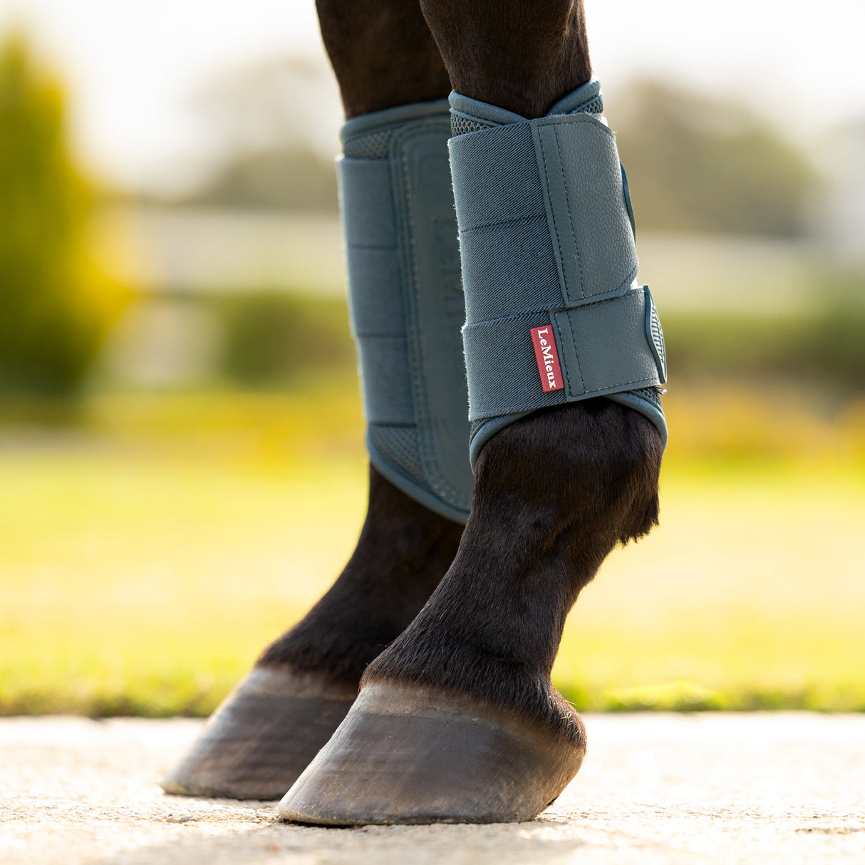 LeMieux Arika Mesh Brushing Boots