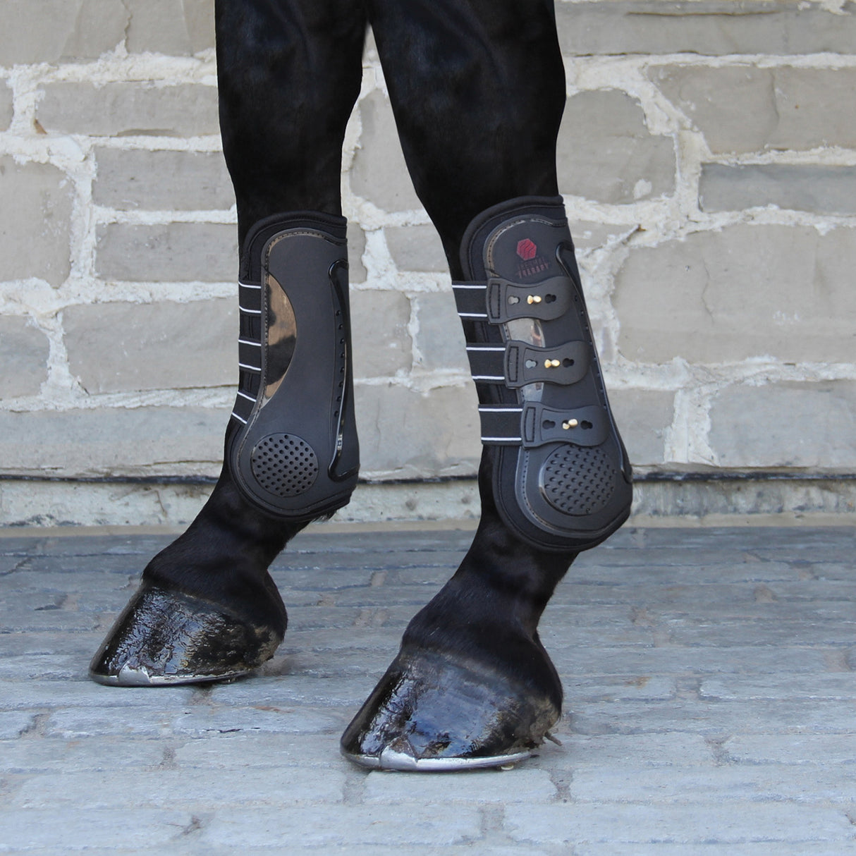 Thermal Therapy Open Front Tendon Boots