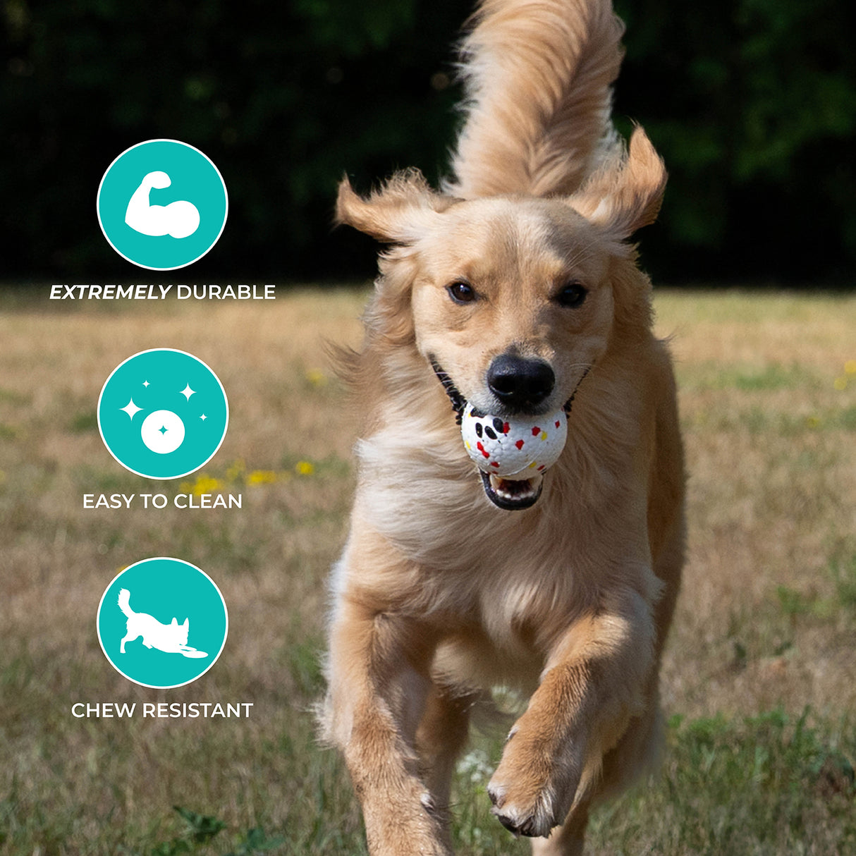 Shedrow K9 FlexiPlay Ball