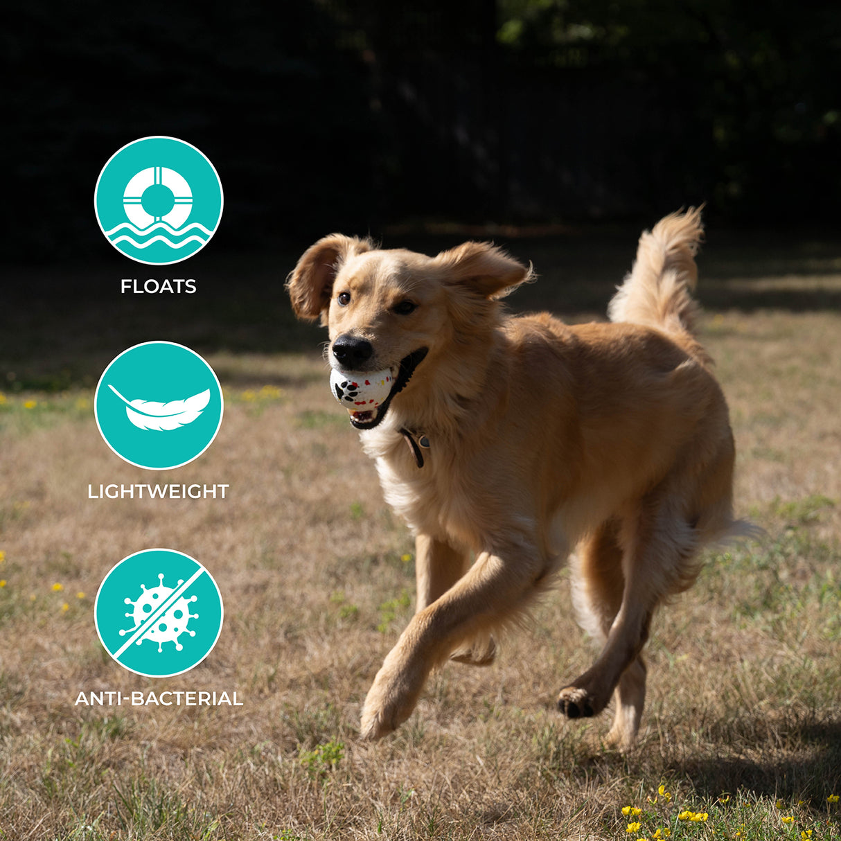 Shedrow K9 FlexiPlay Ball