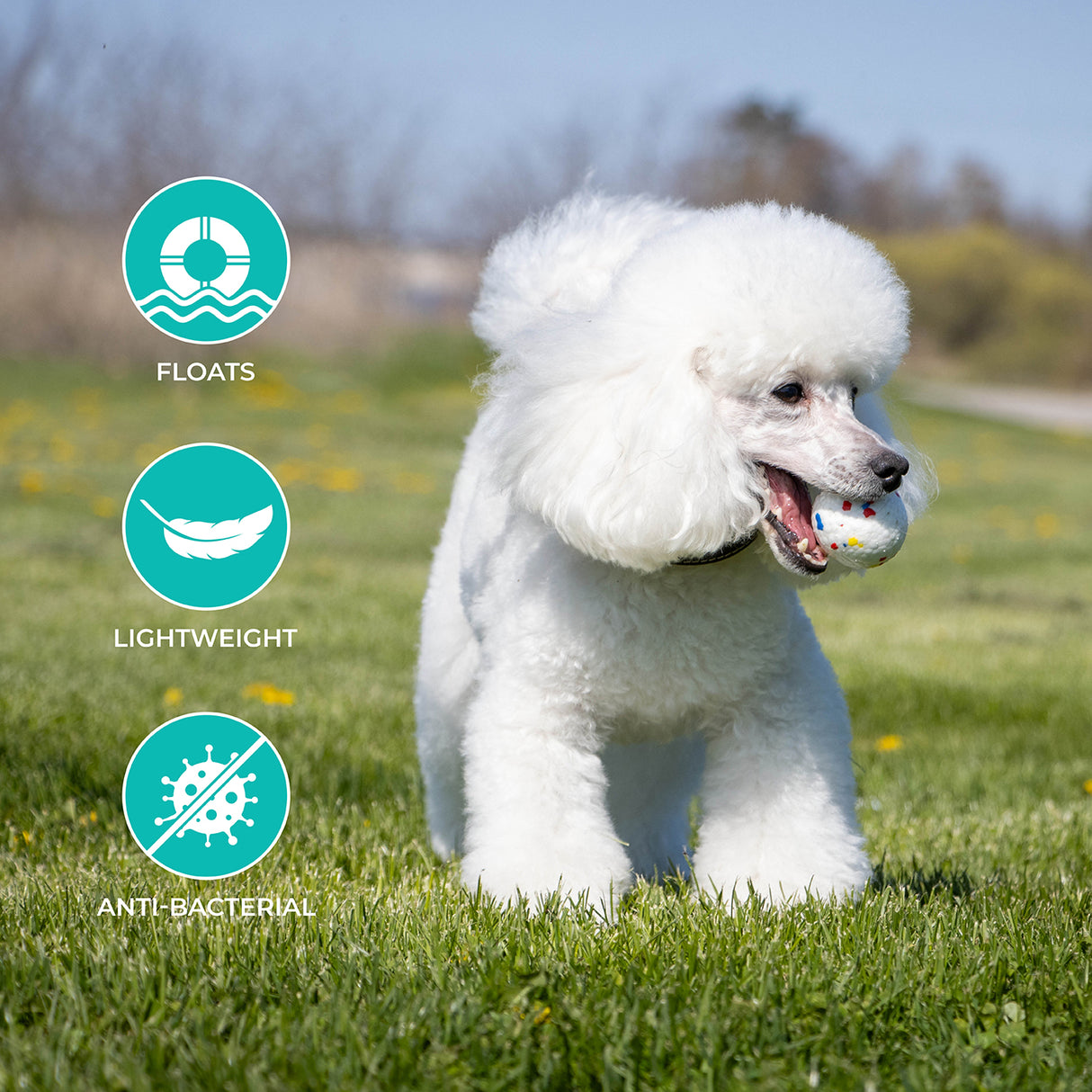 Shedrow K9 FlexiPlay Ball