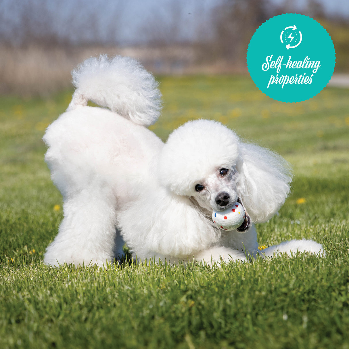 Shedrow K9 FlexiPlay Ball