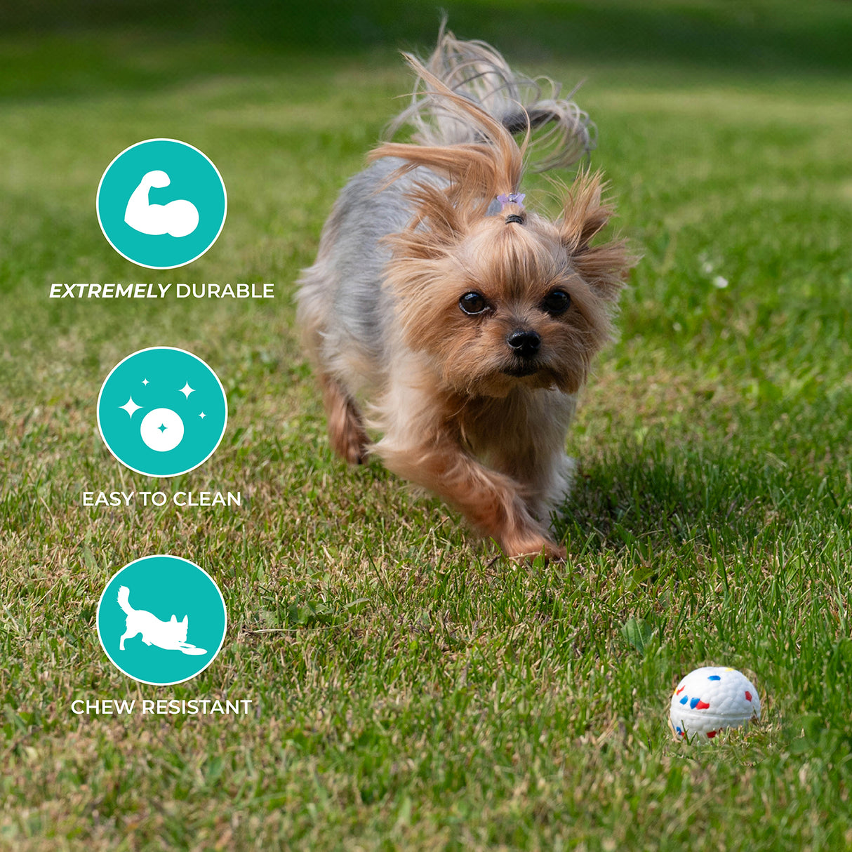 Shedrow K9 FlexiPlay Ball