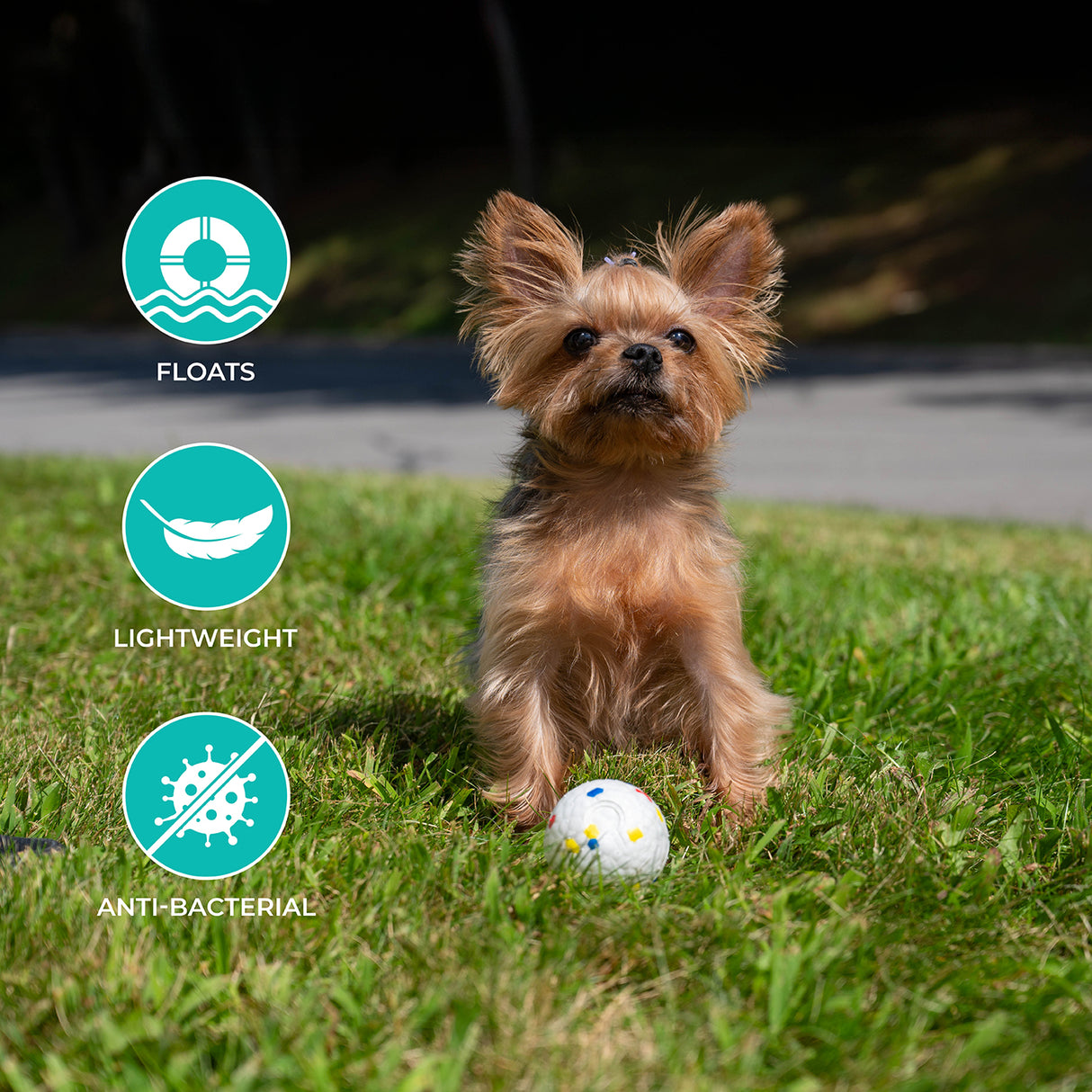 Shedrow K9 FlexiPlay Ball