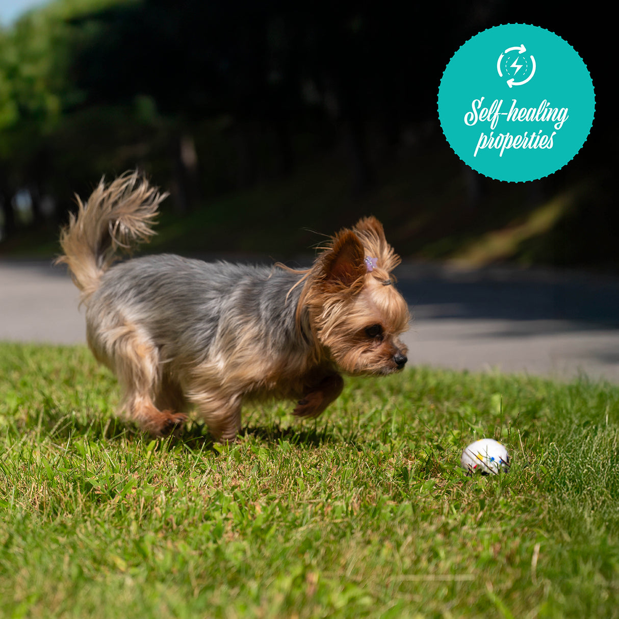 Shedrow K9 FlexiPlay Ball