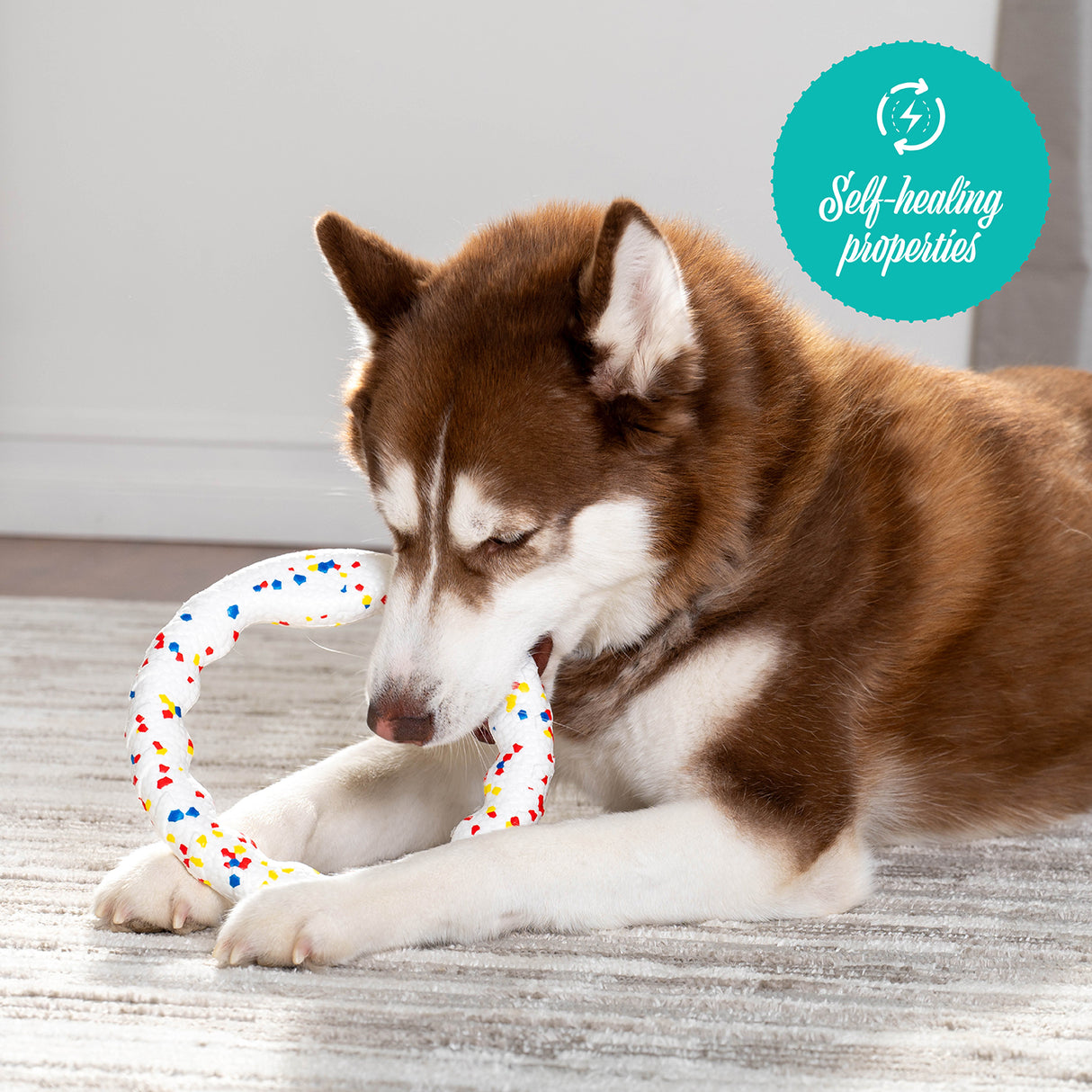 Shedrow K9 FlexiPlay Tug Ring