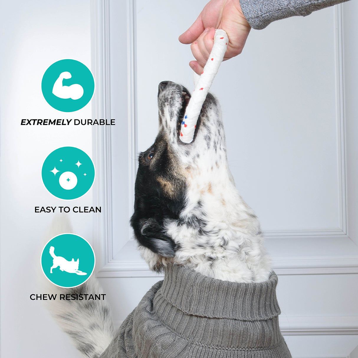 Shedrow K9 FlexiPlay Tug Ring