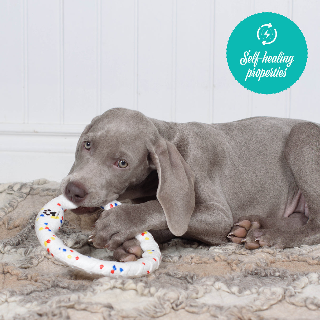 Shedrow K9 FlexiPlay Tug Ring