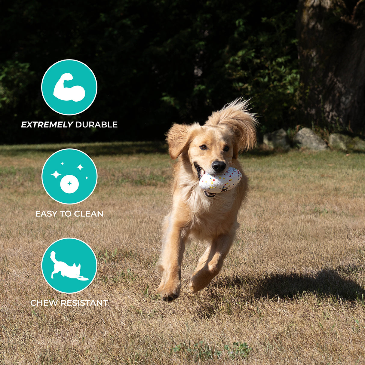 Shedrow K9 FlexiPlay Football