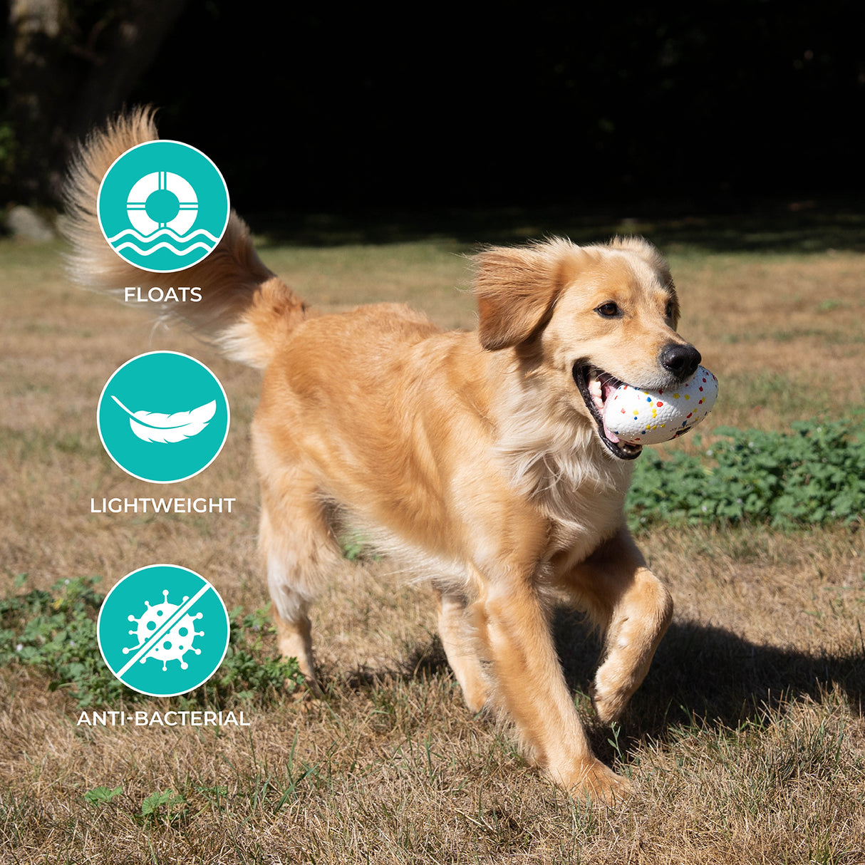 Shedrow K9 FlexiPlay Football