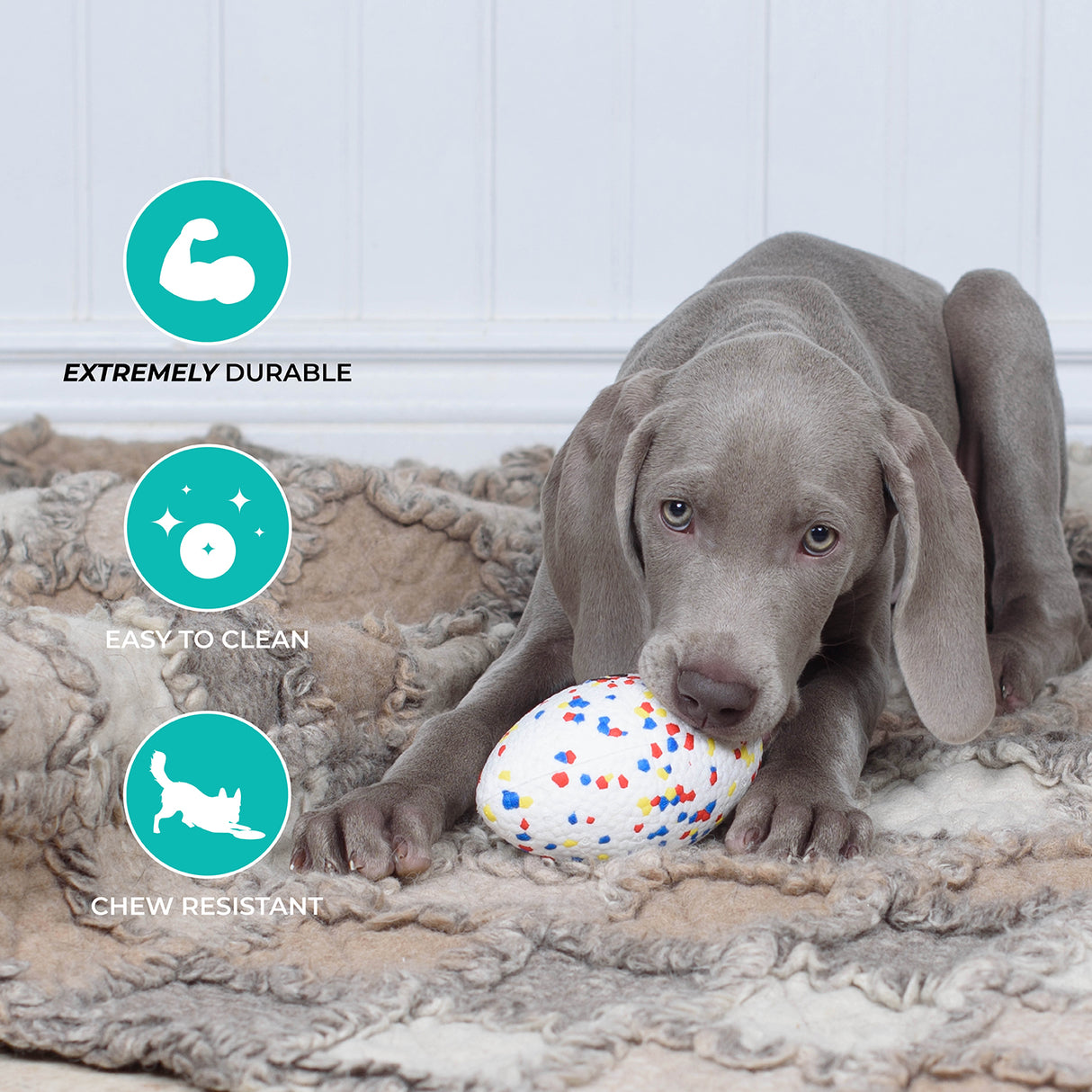 Shedrow K9 FlexiPlay Football