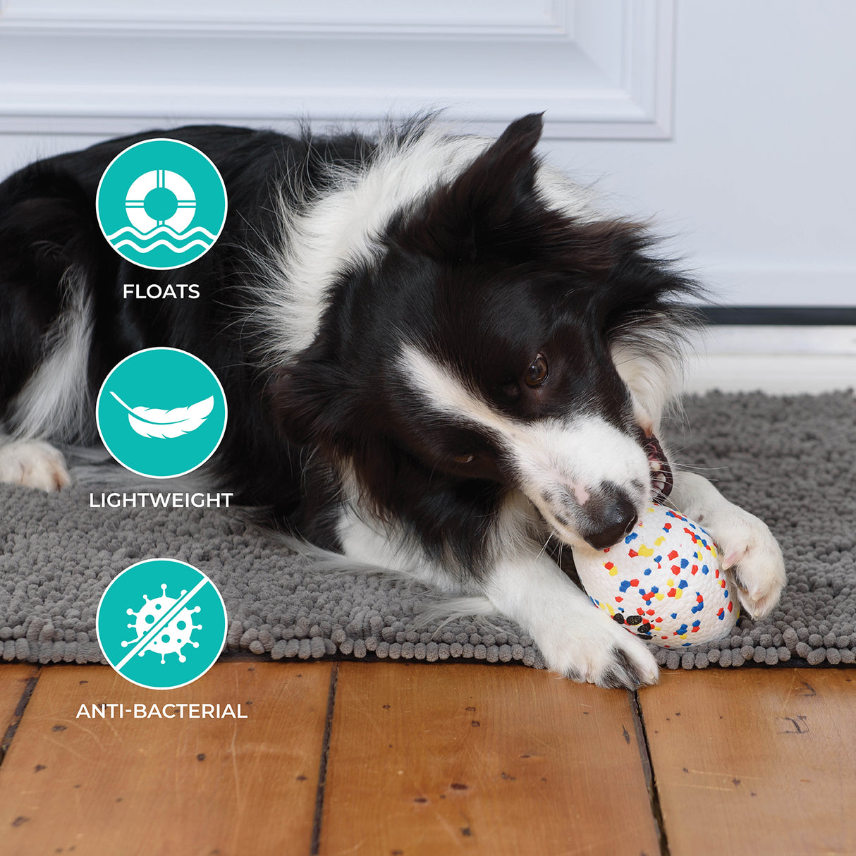 Shedrow K9 FlexiPlay Football