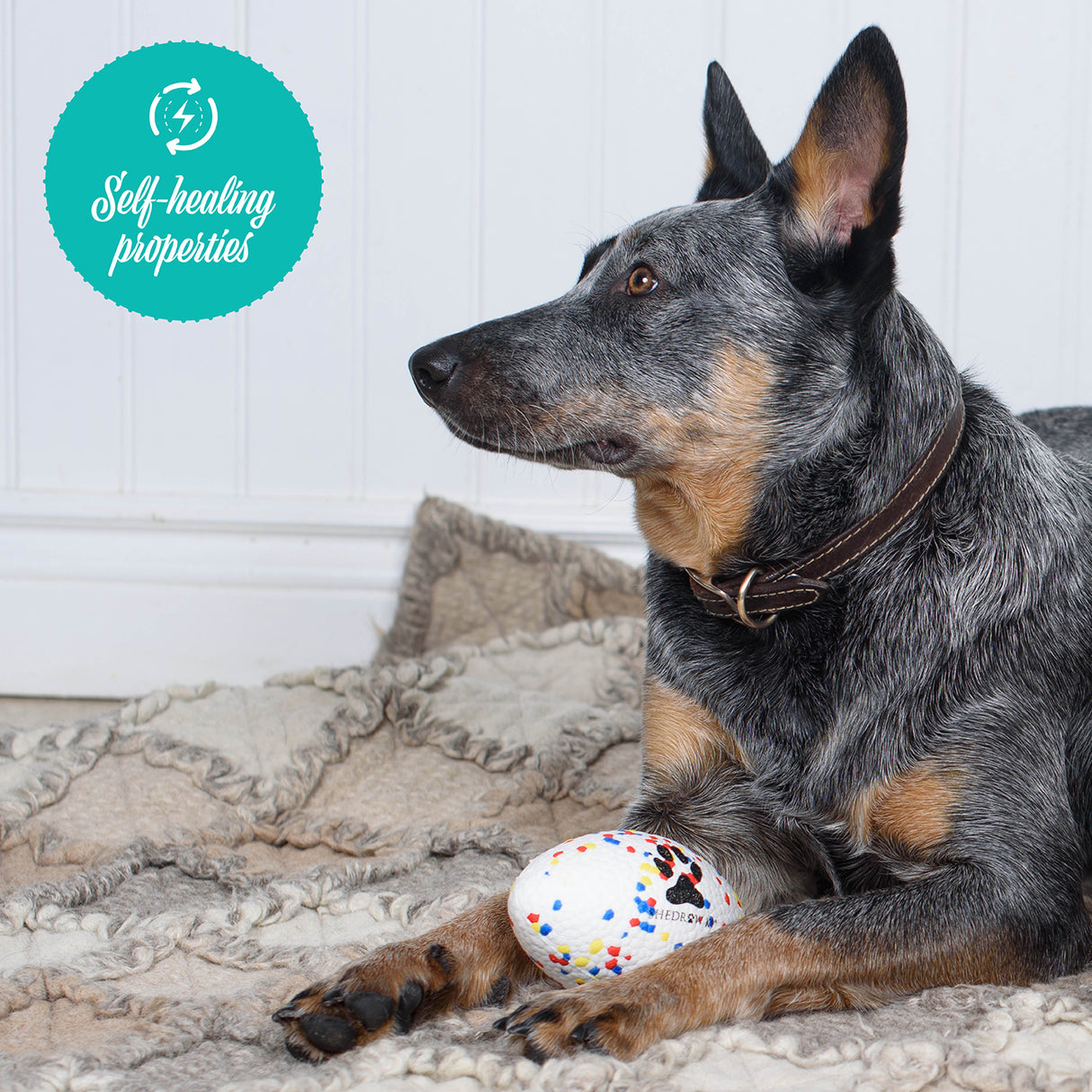 Shedrow K9 FlexiPlay Football